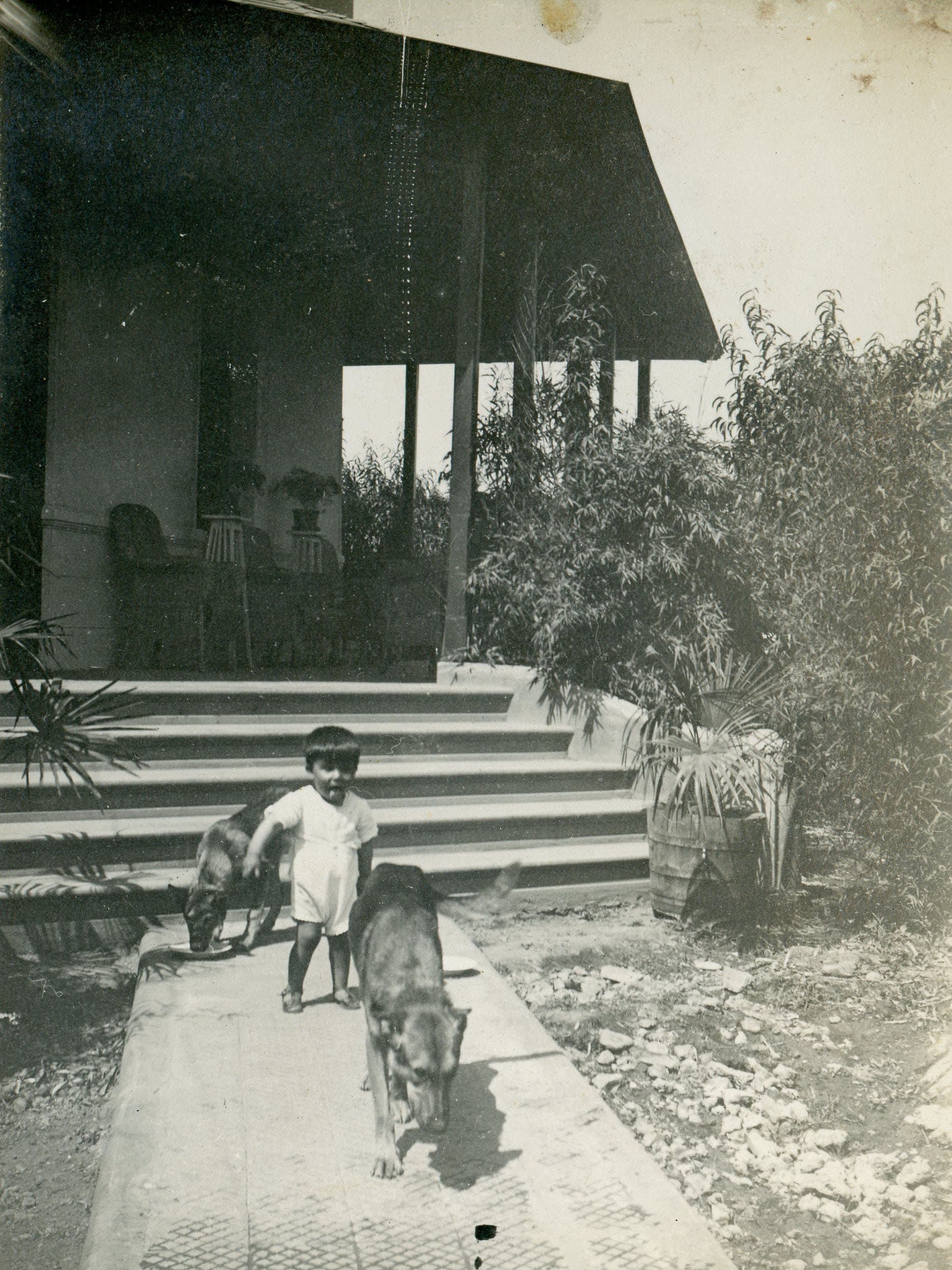 Niño y perros en casa en Providencia, Miguel Claro 584, año 1919