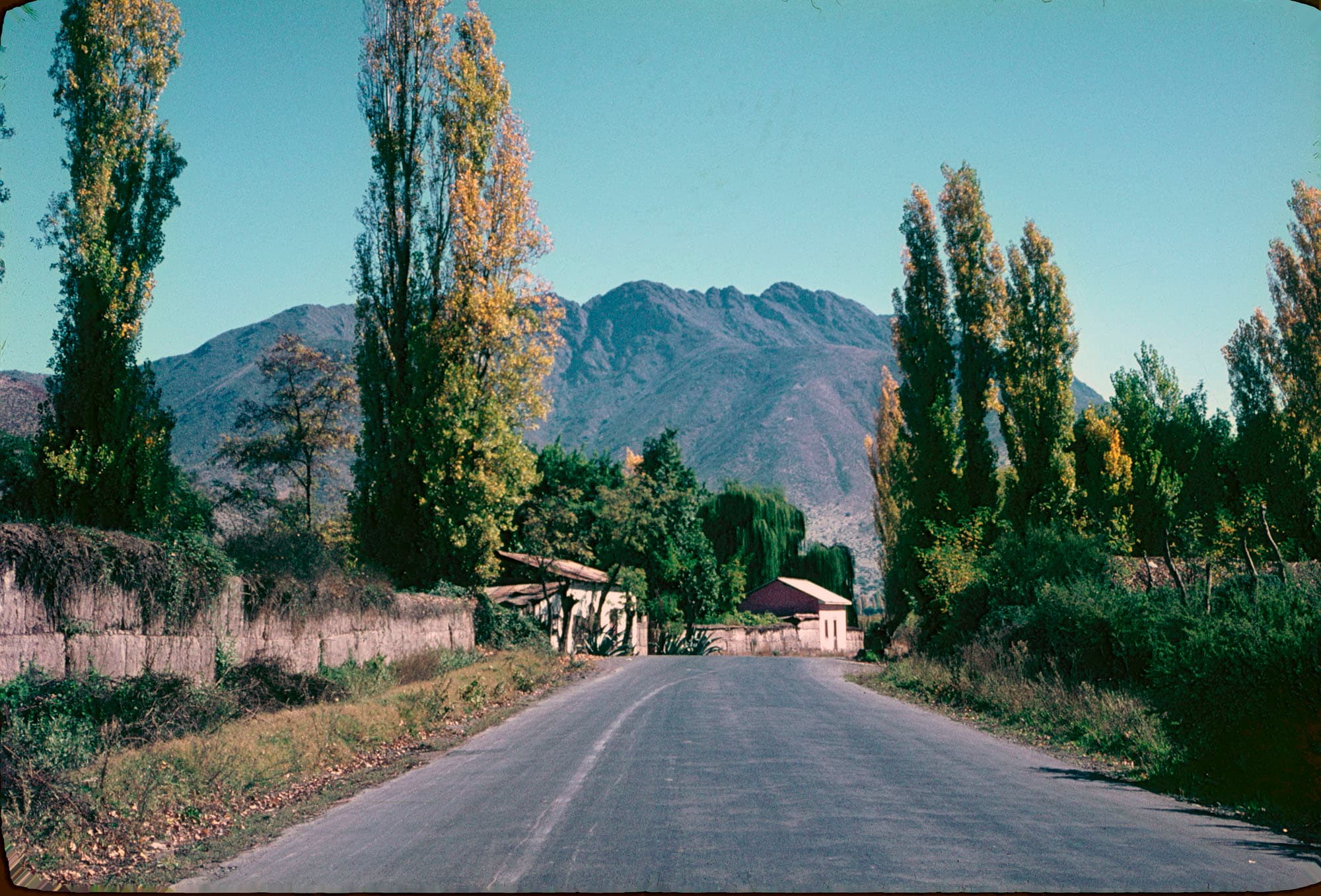 Camino entre San Felipe y Los Andes, ca. 1964