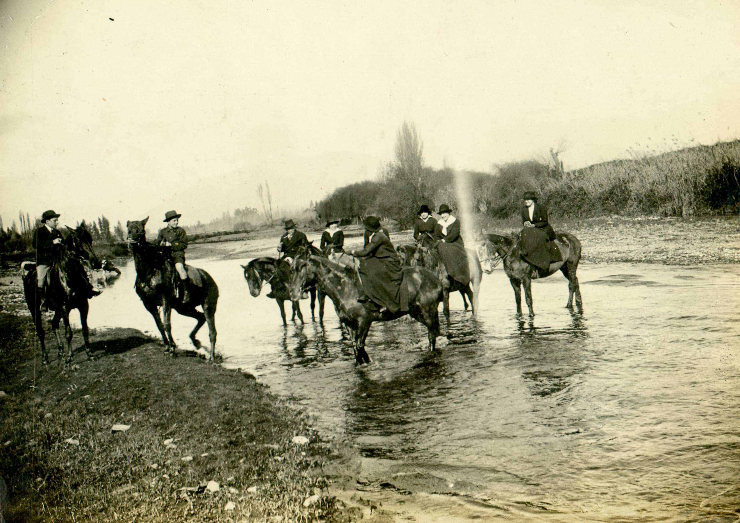 Caballos en un Río, Limache, Agosto de 1915