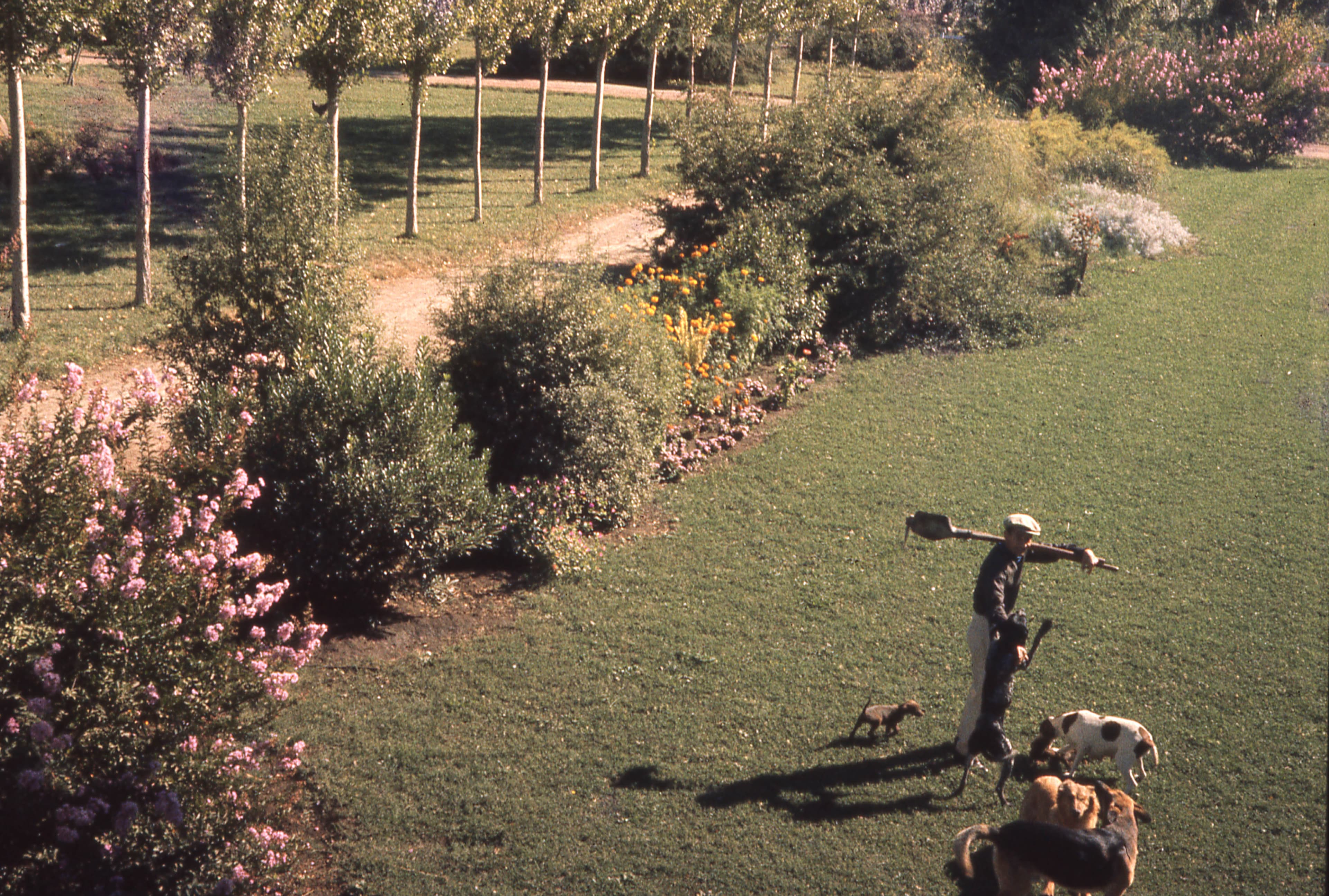 Jardin en 1965