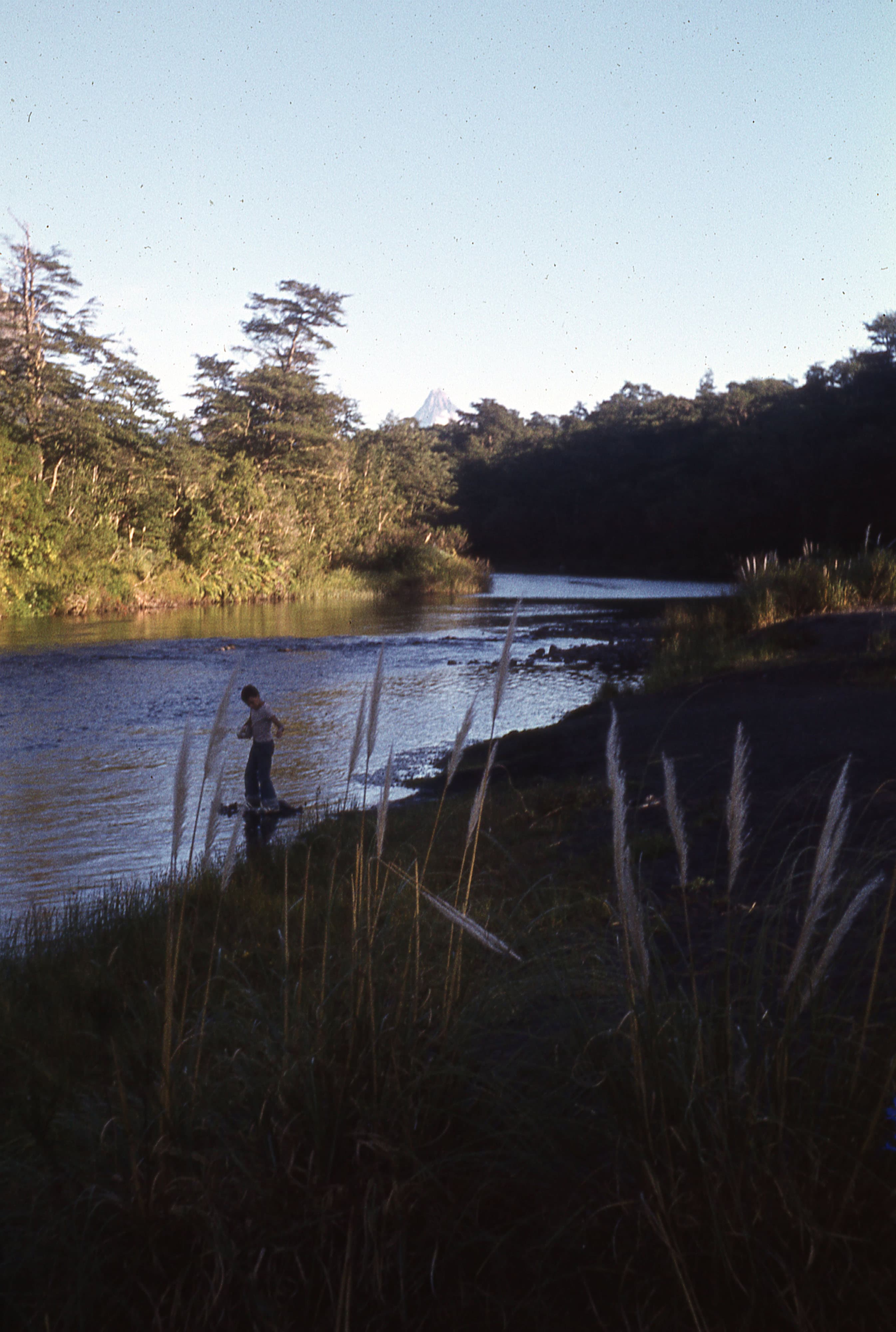 Vista de un río o estero no identificado, ca. 1965