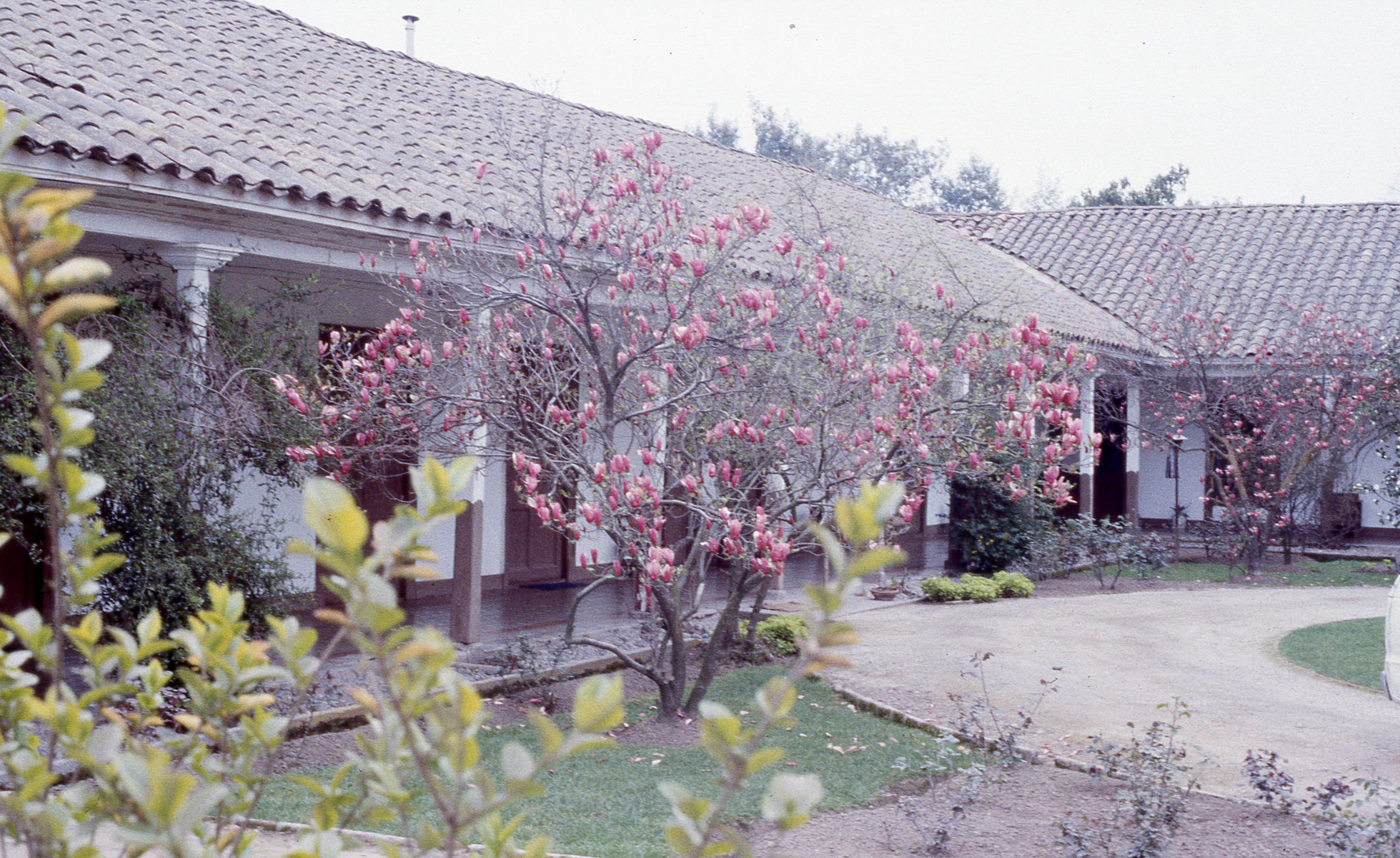 Hacienda en La Moranina, Graneros, 1983
