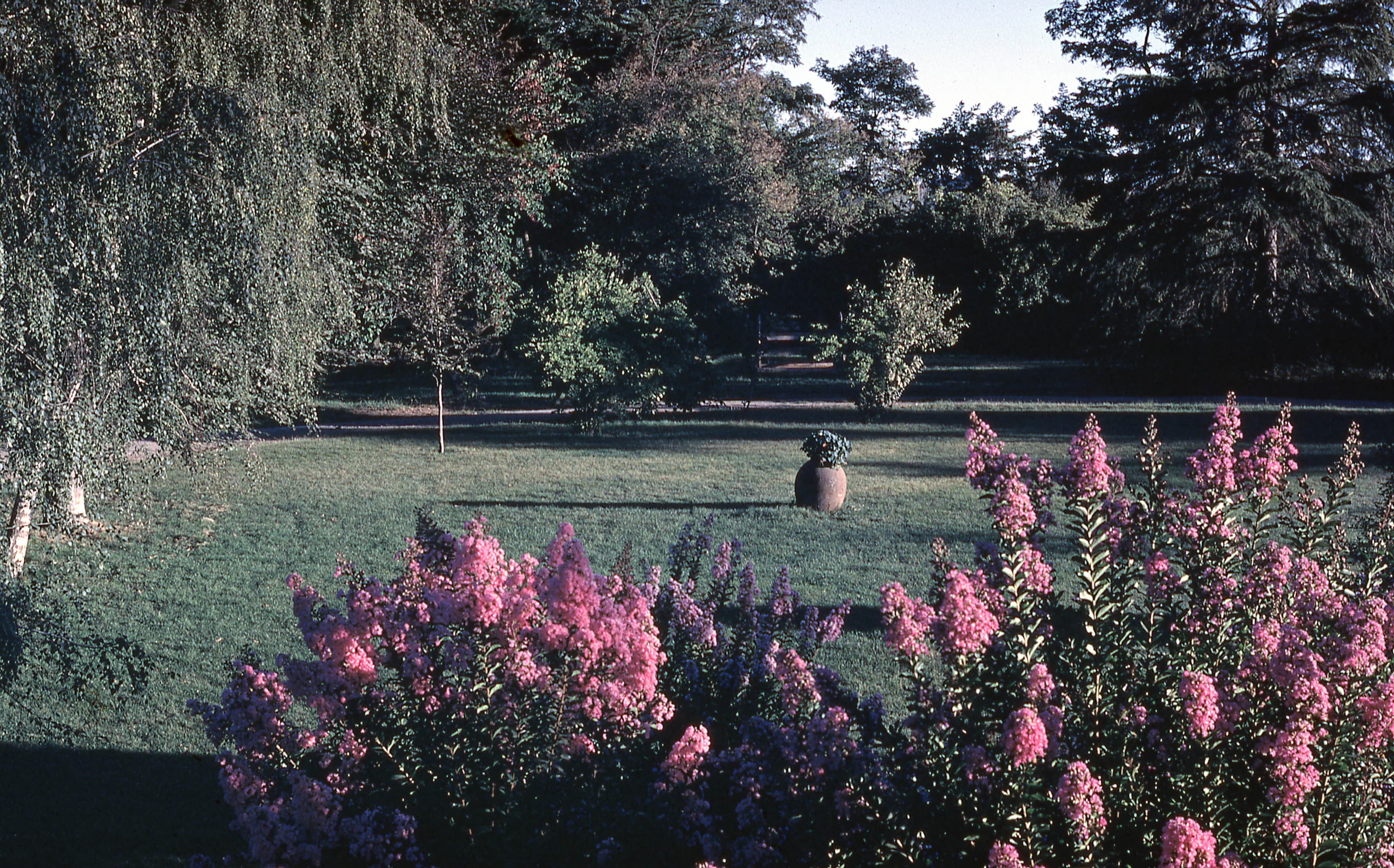 Patio en primavera en 1965