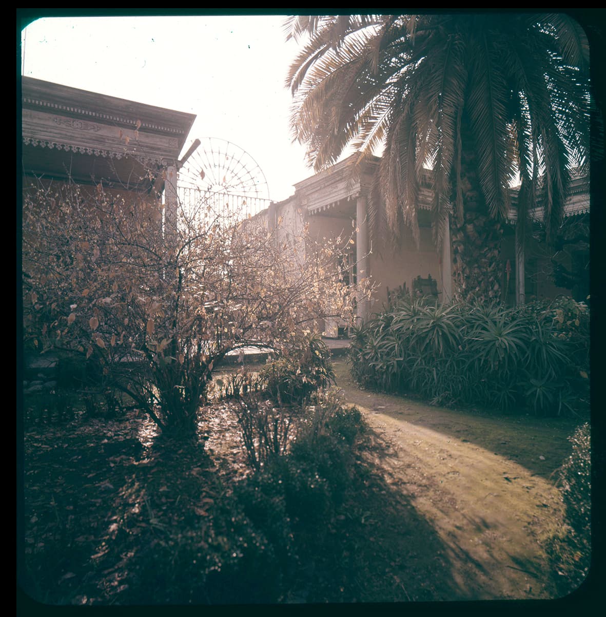 Jardín en un atardecer, Chile, 1950 - 1965