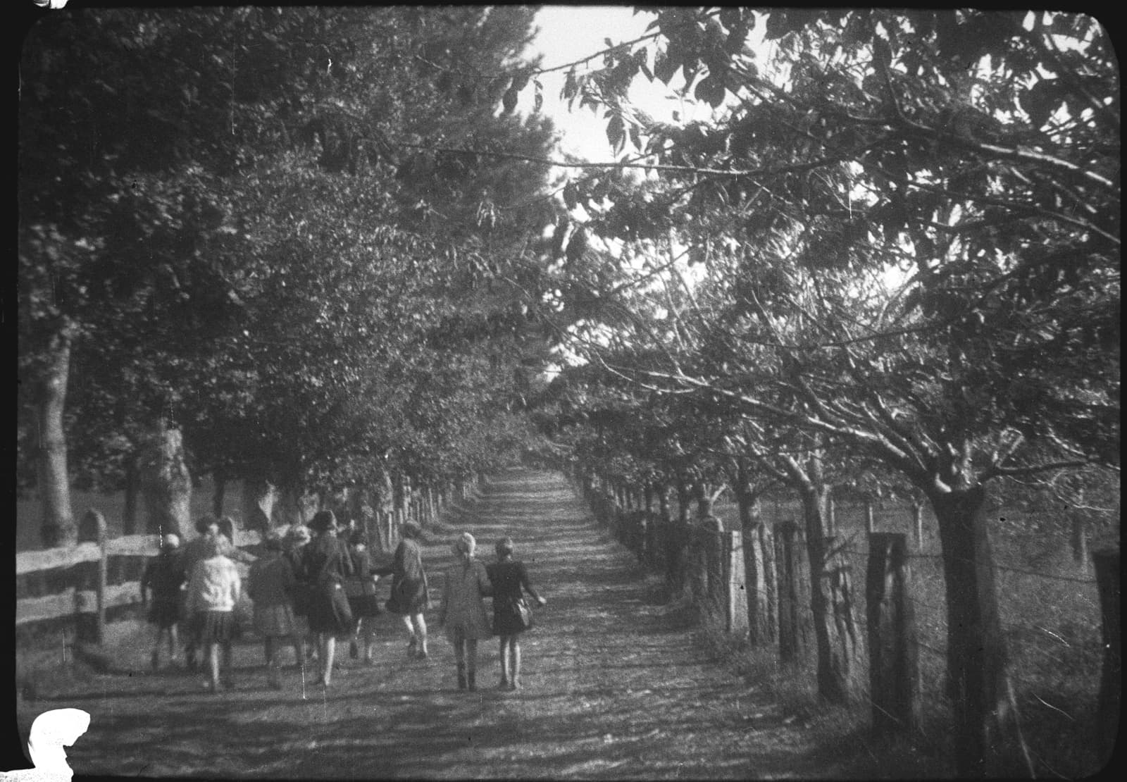 Grupo de chicas en una avenida, 1928