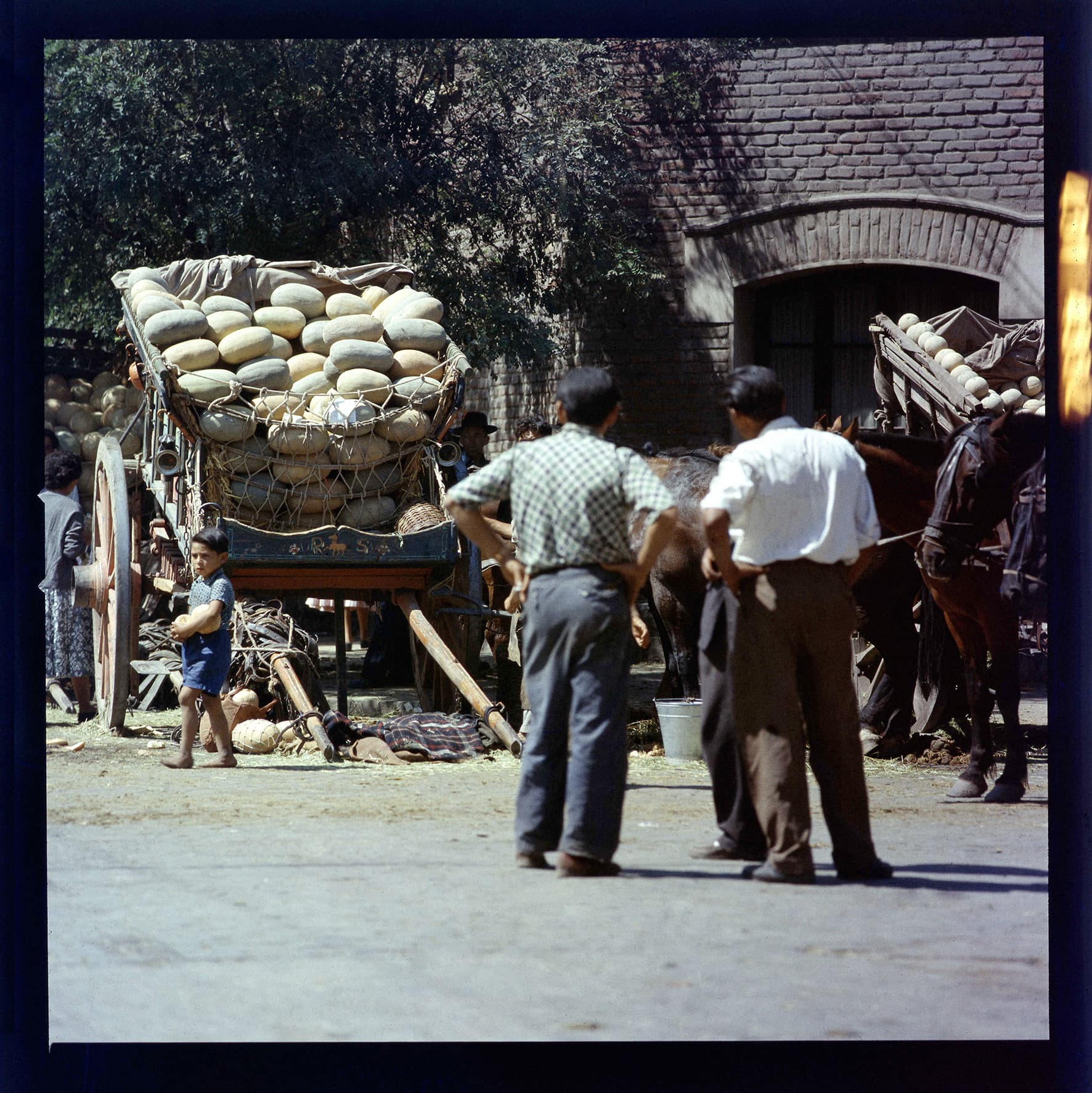 Carretas cargadas con sandías y melones, Paine, Región Metropolitana, Chile, 1950 - 1965
