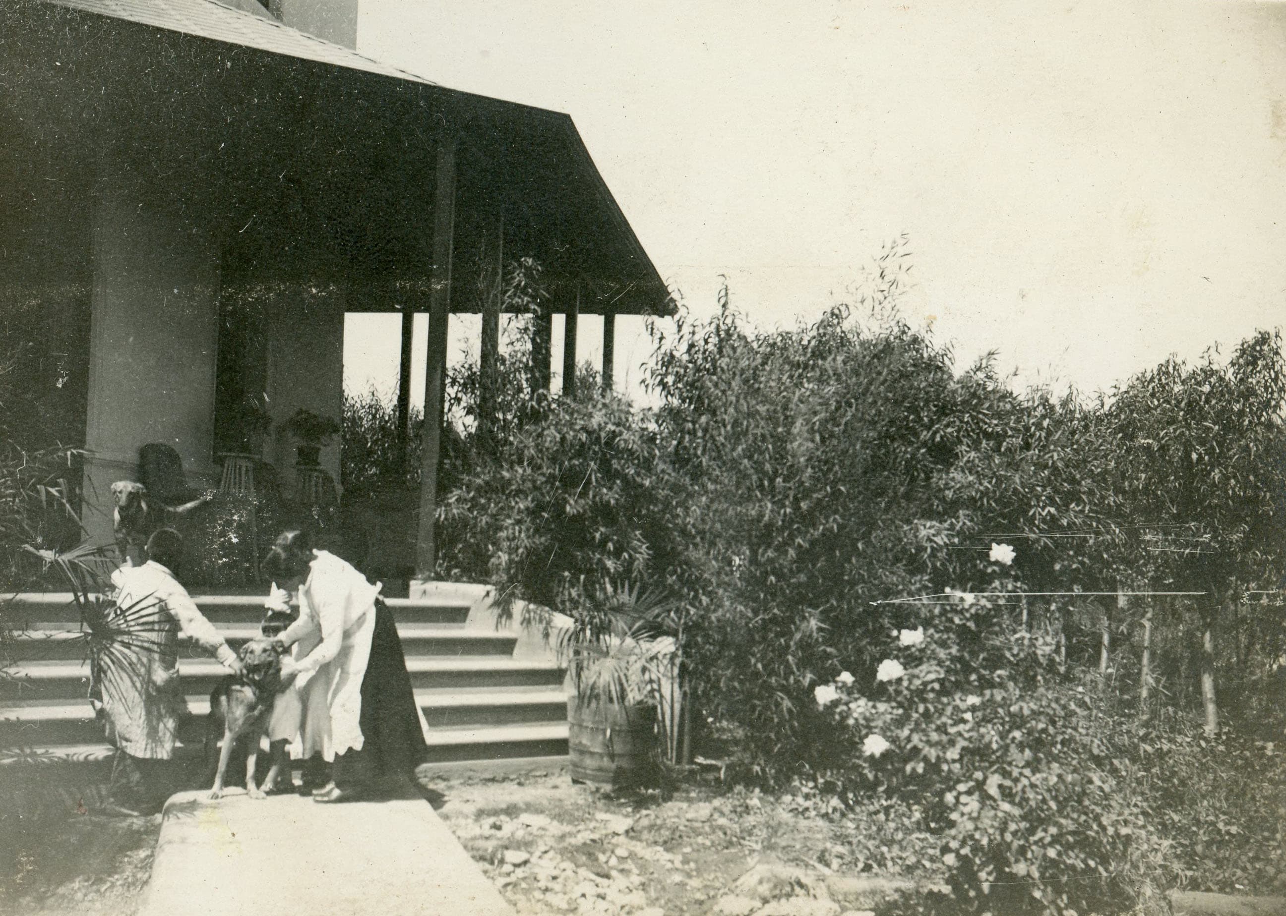 Casa en Providencia, Miguel Claro 584, Enero de 1919