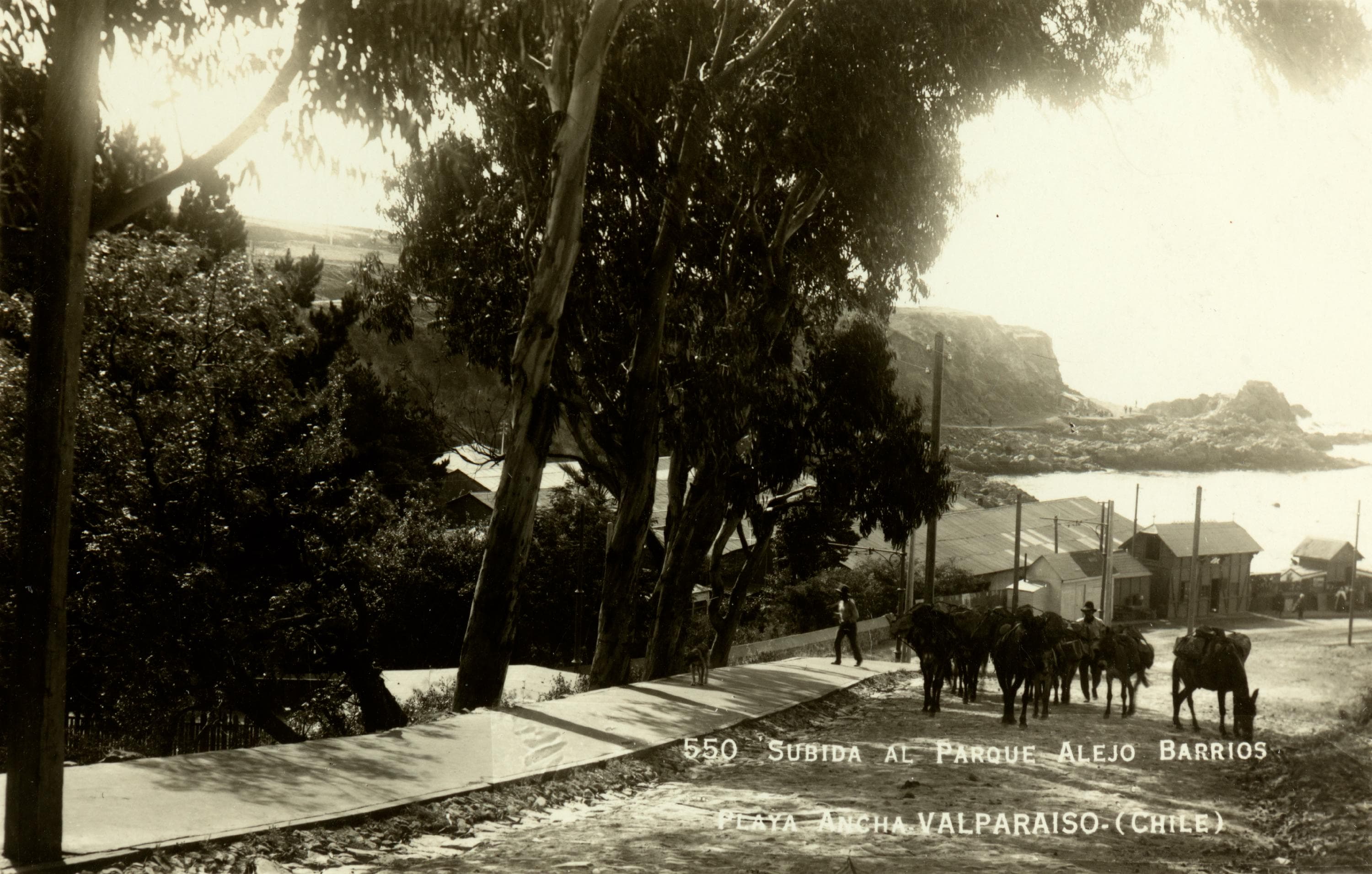 Subida al Parque Alejo Barrios, Valparaíso, ca. 1930