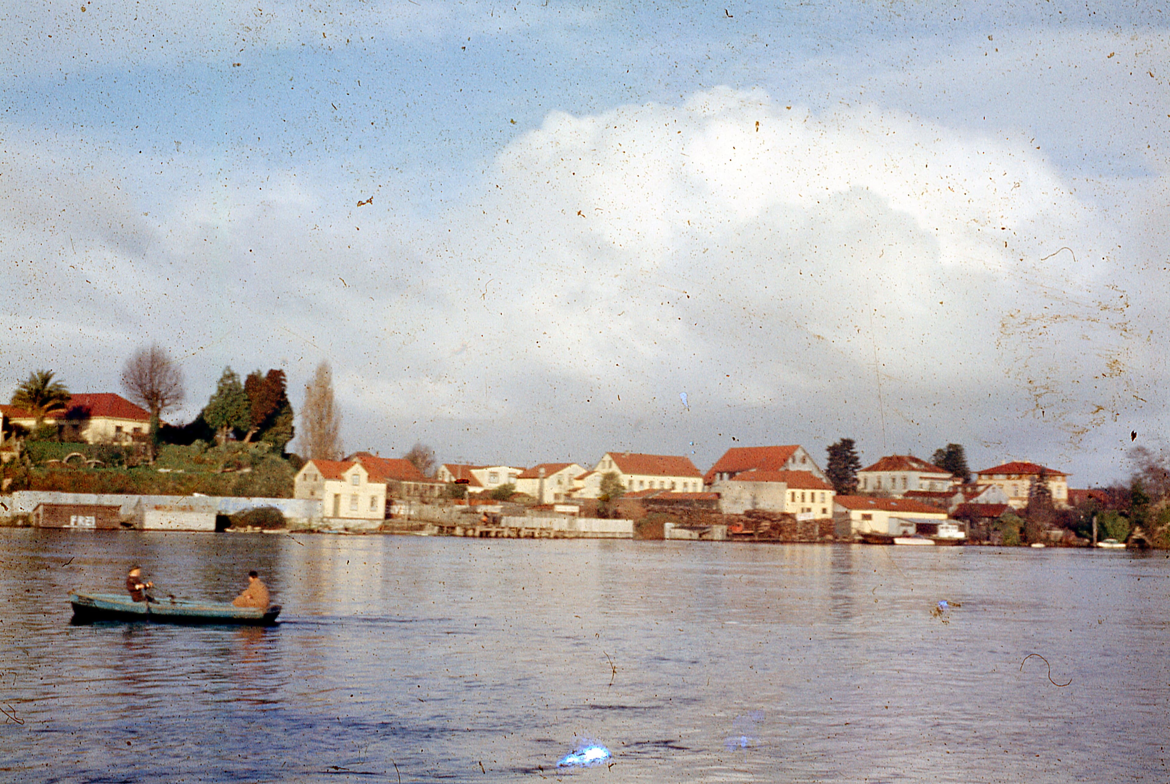 Valdivia desde el Río, 1960