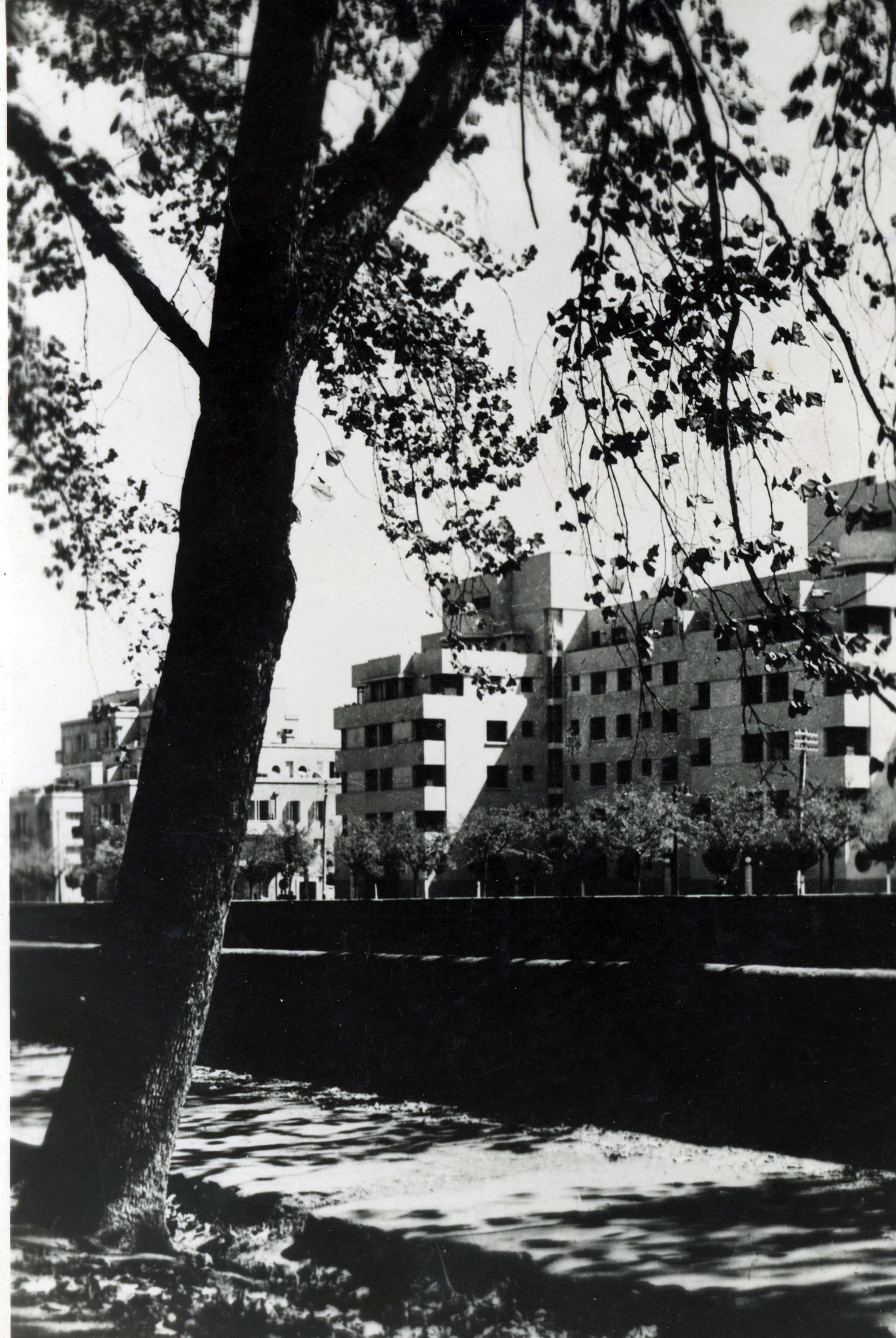 Parque Forestal de Santiago, ca. 1945