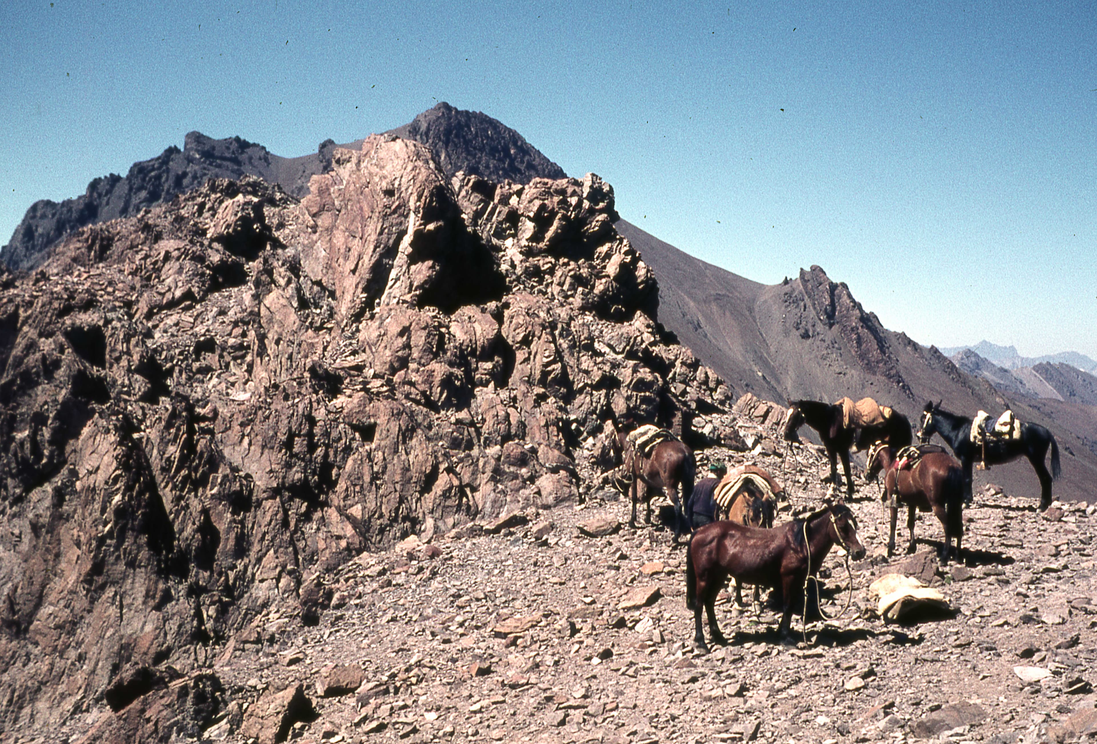 Portezuelo El Cepo, 1978