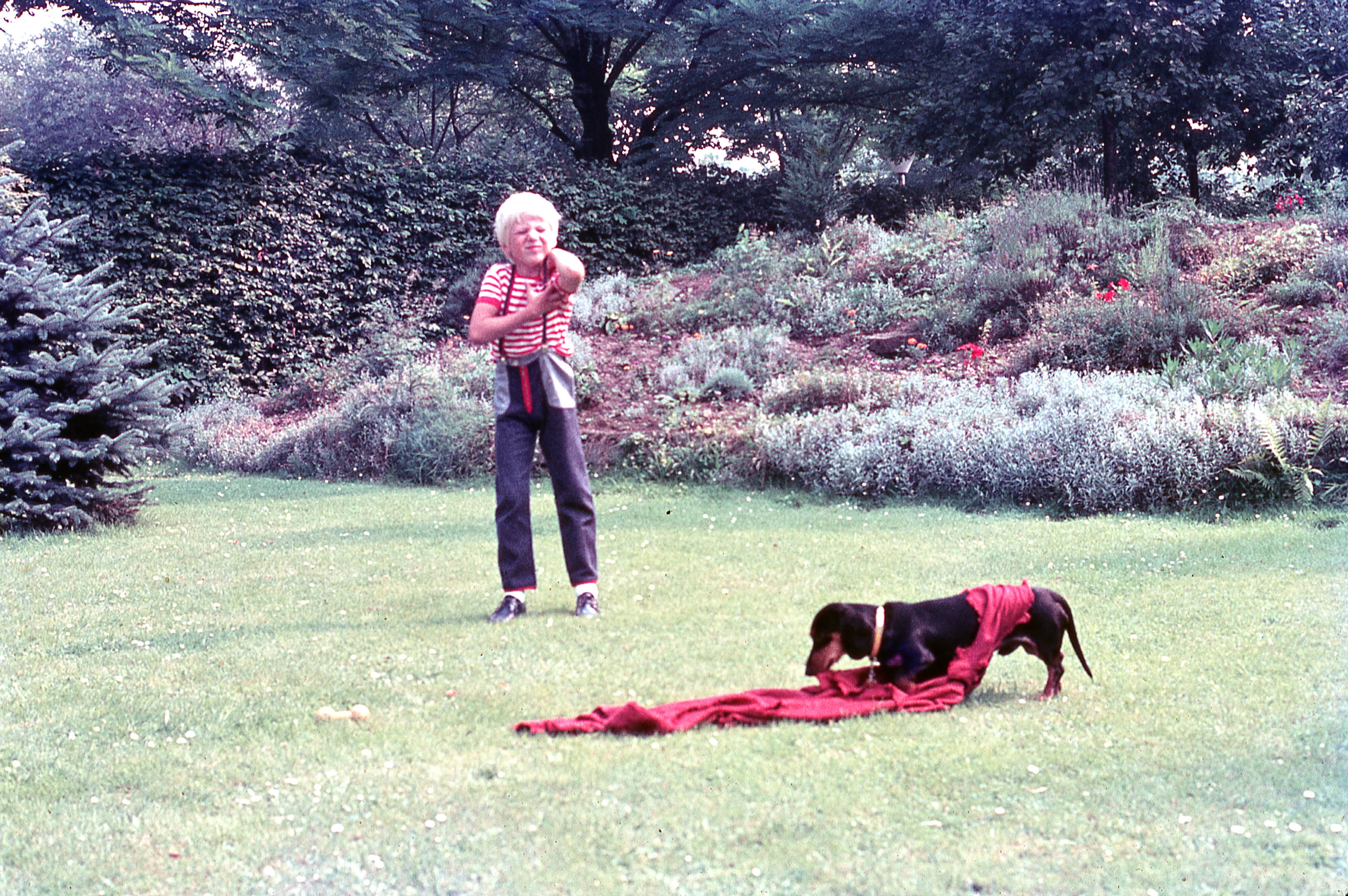 Niño jugando al torero con su perro, 1975