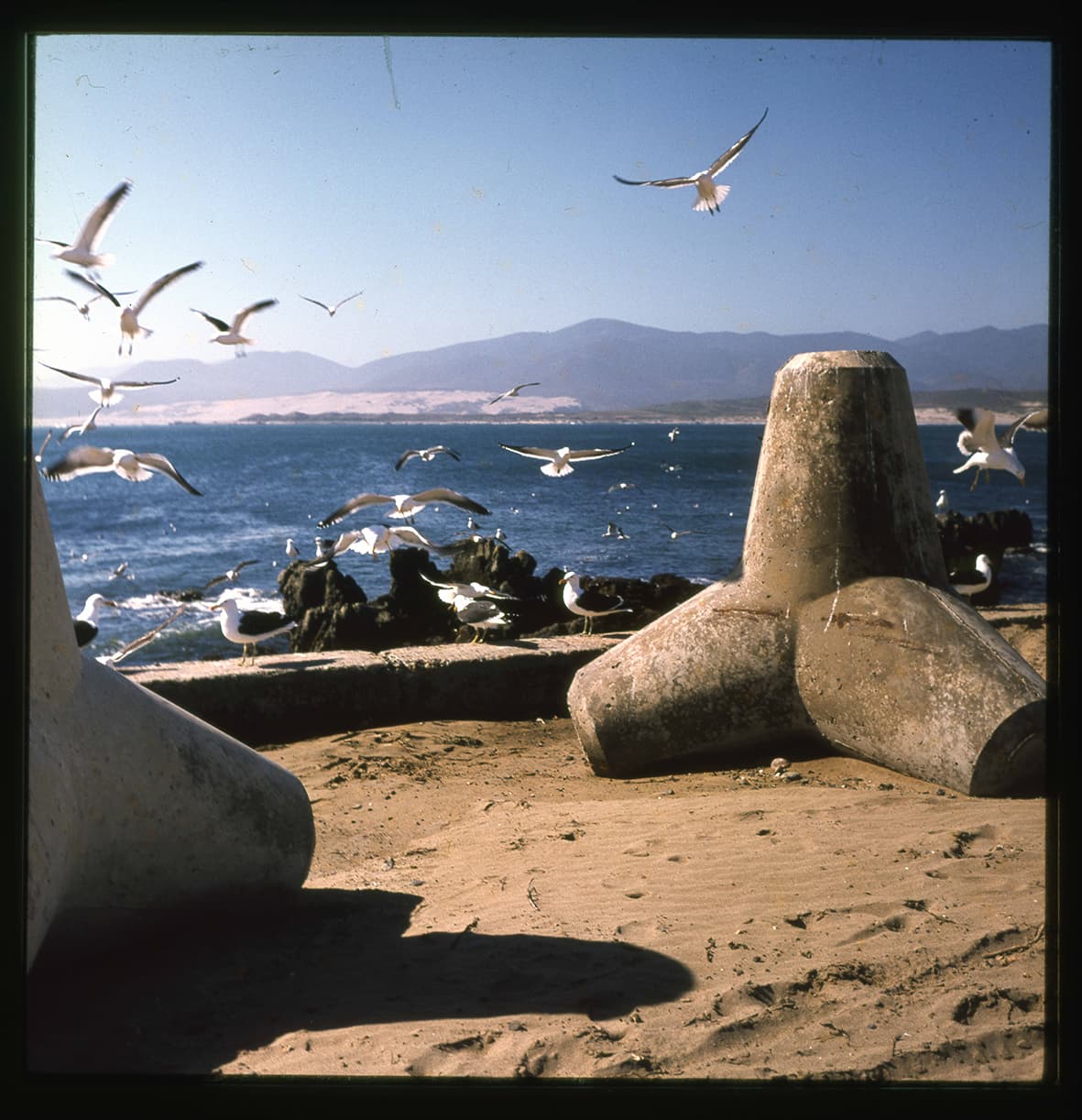 Playa y rompeolas, Región de Coquimbo, Chile, 1950 - 1965