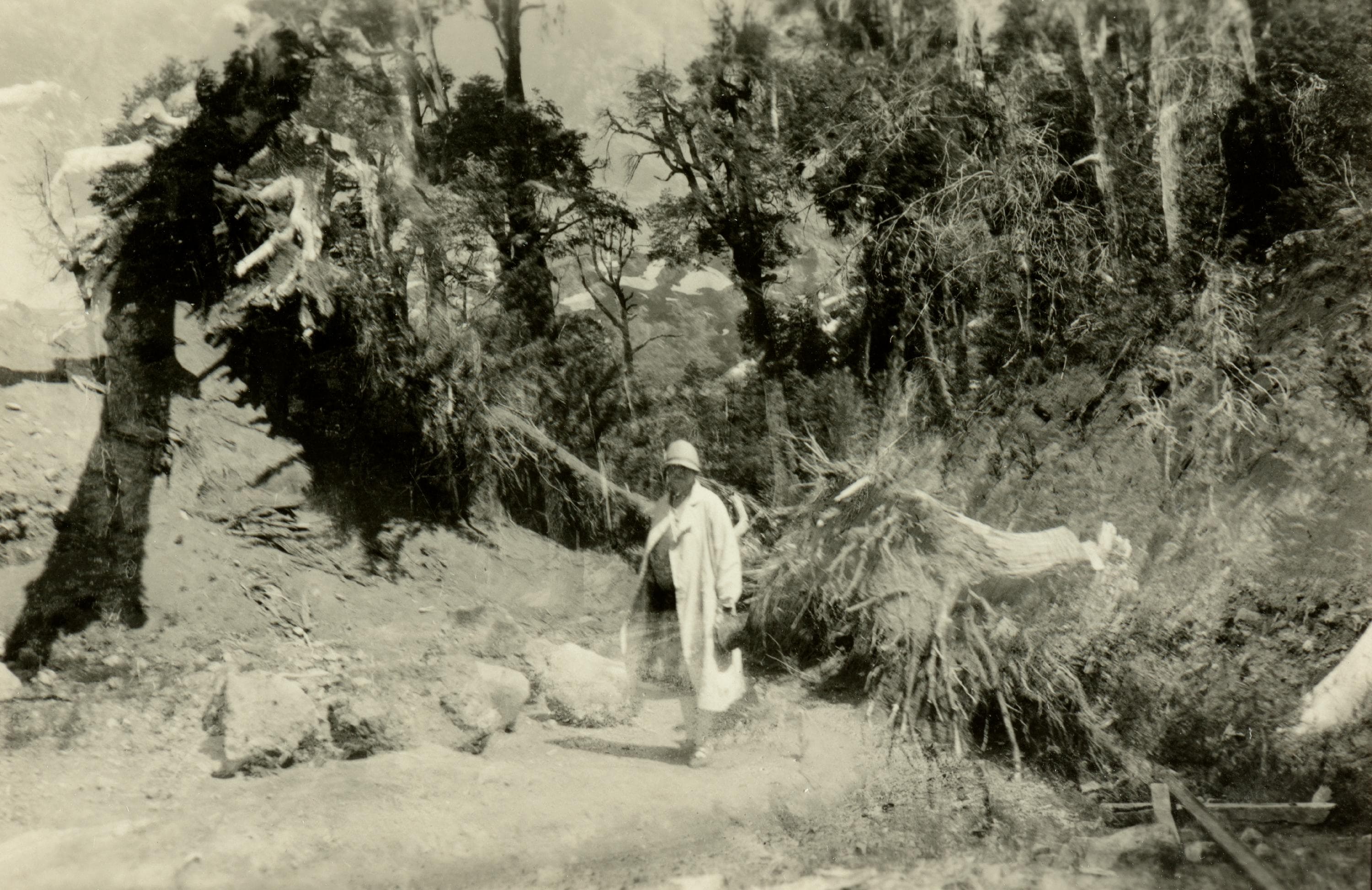 Mujer en sendero al Volcán Chillán, 1929