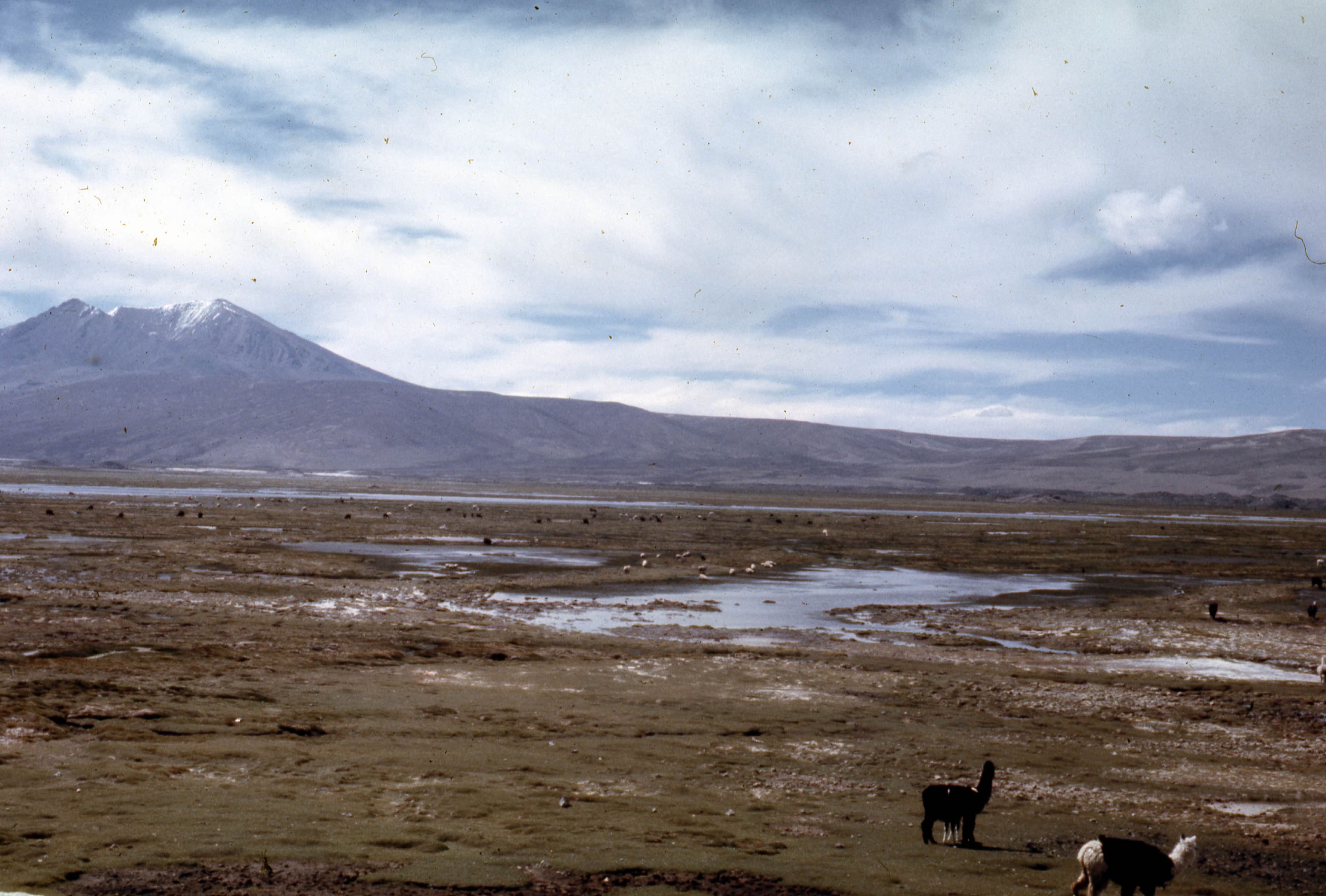 Parque Nacional Lauca, 1968