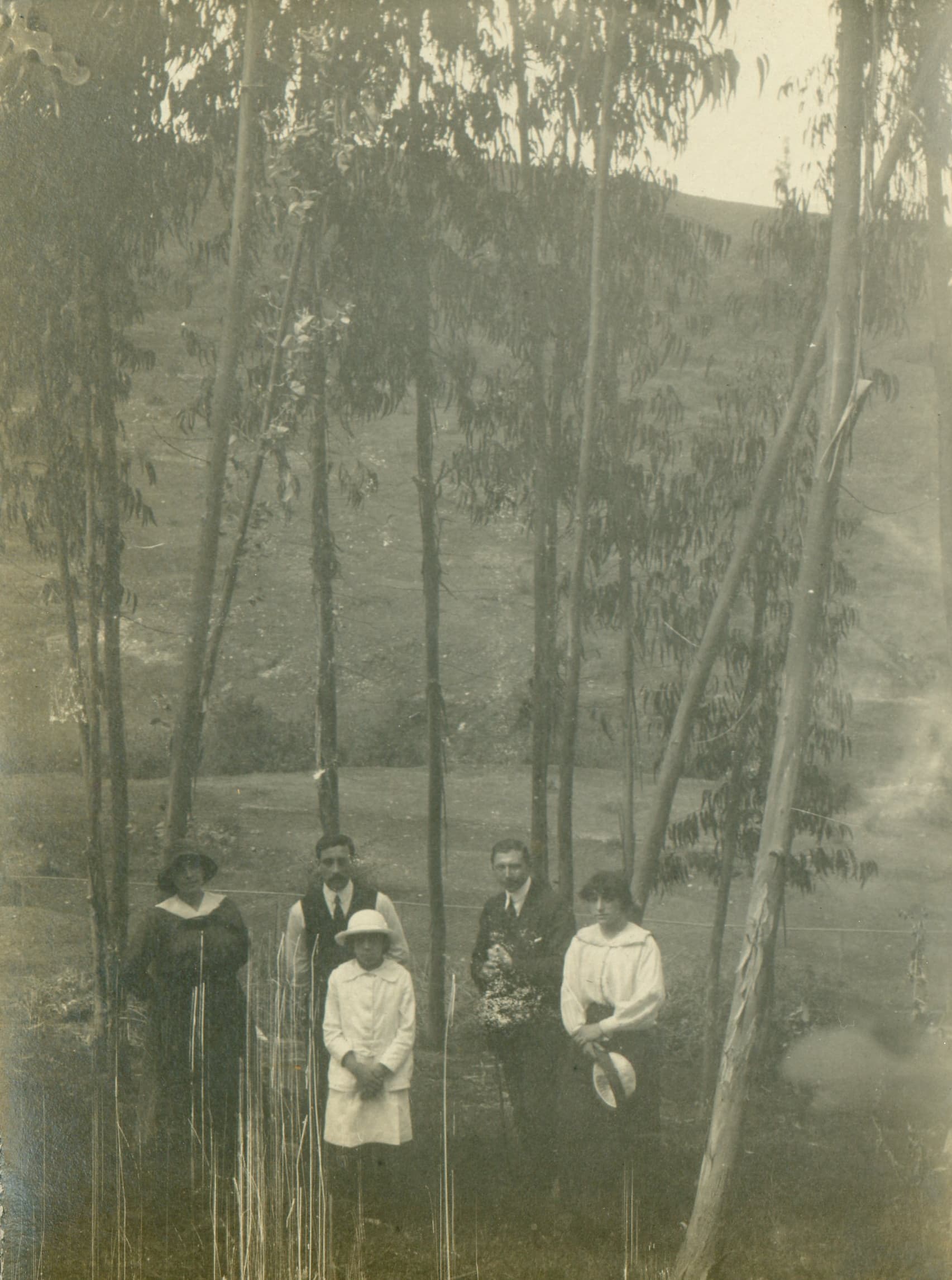 Cercanías de Limache, Septiembre de 1915