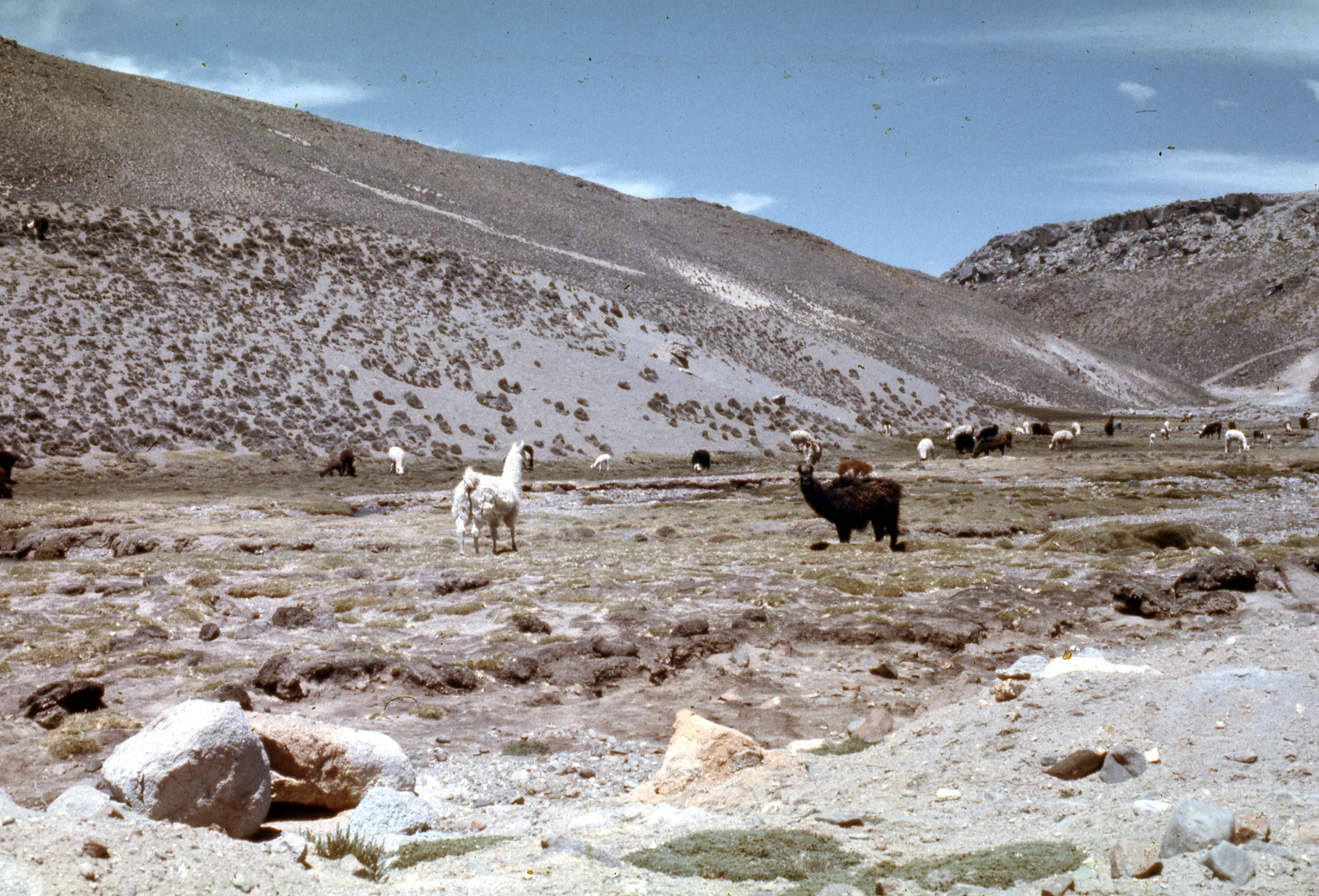 Parque Nacional Lauca, 1968