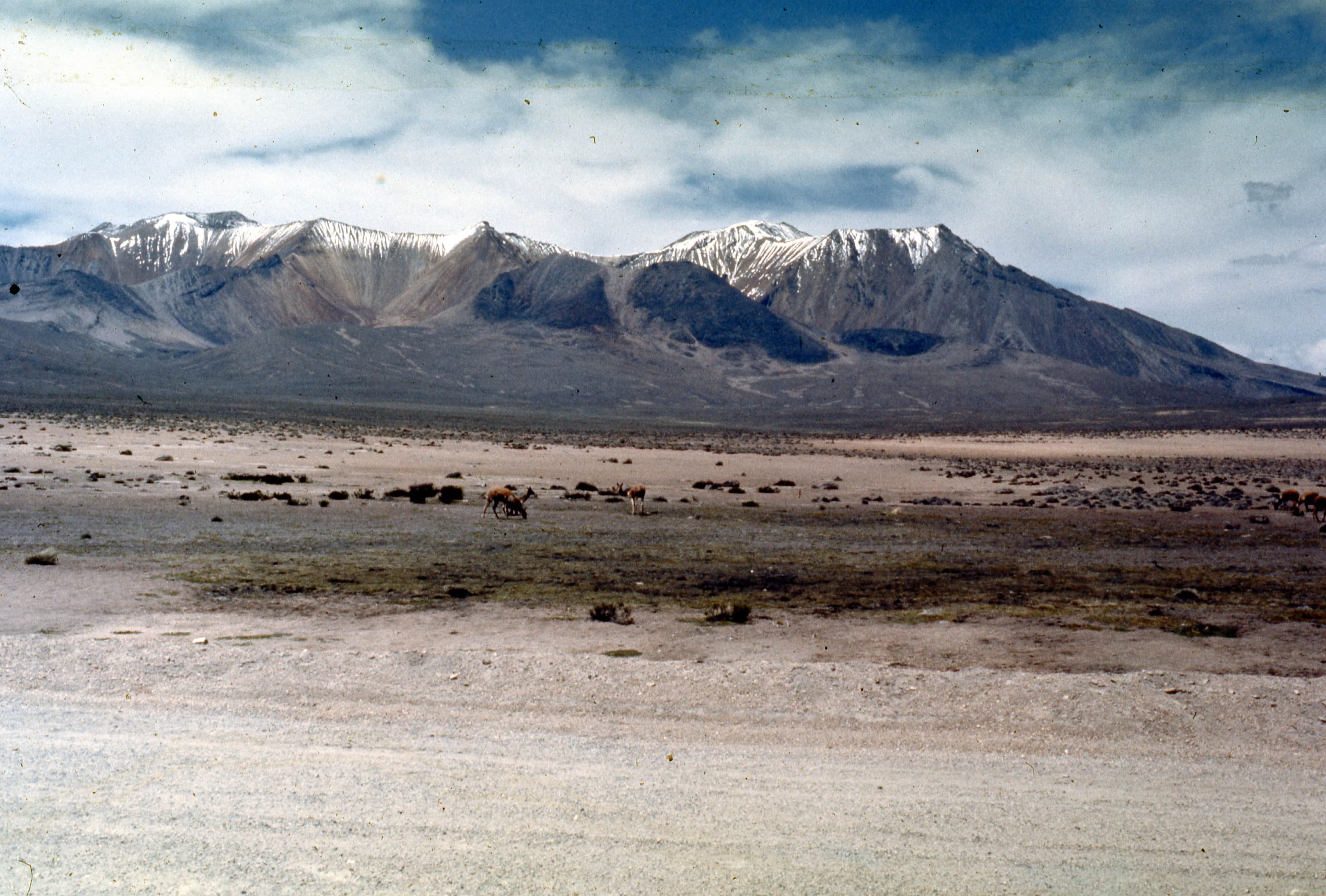 Parque Nacional Lauca, cercanías de Lago Chungará, 1968