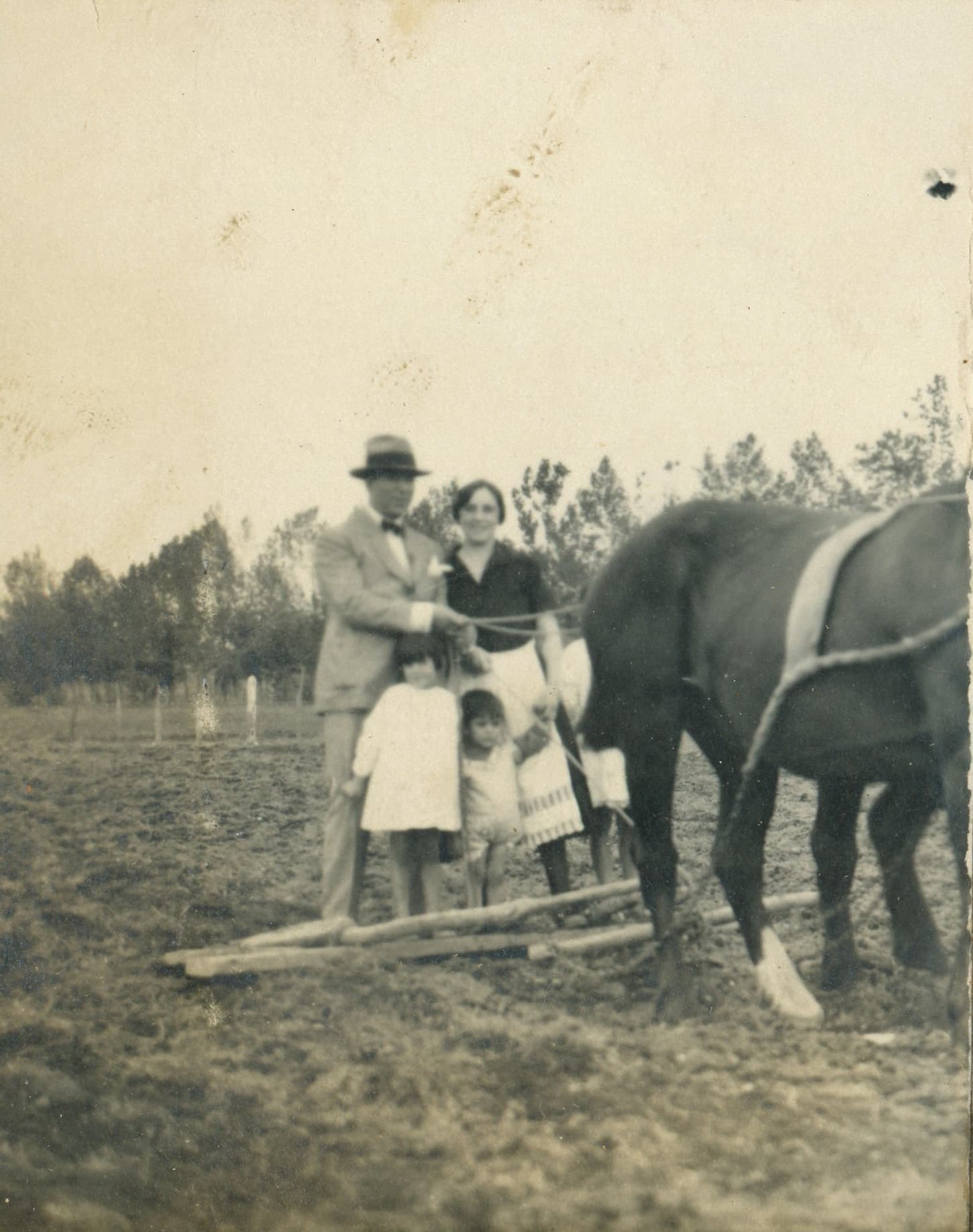 Familia y caballo, lugar desconocido, ca. 1915