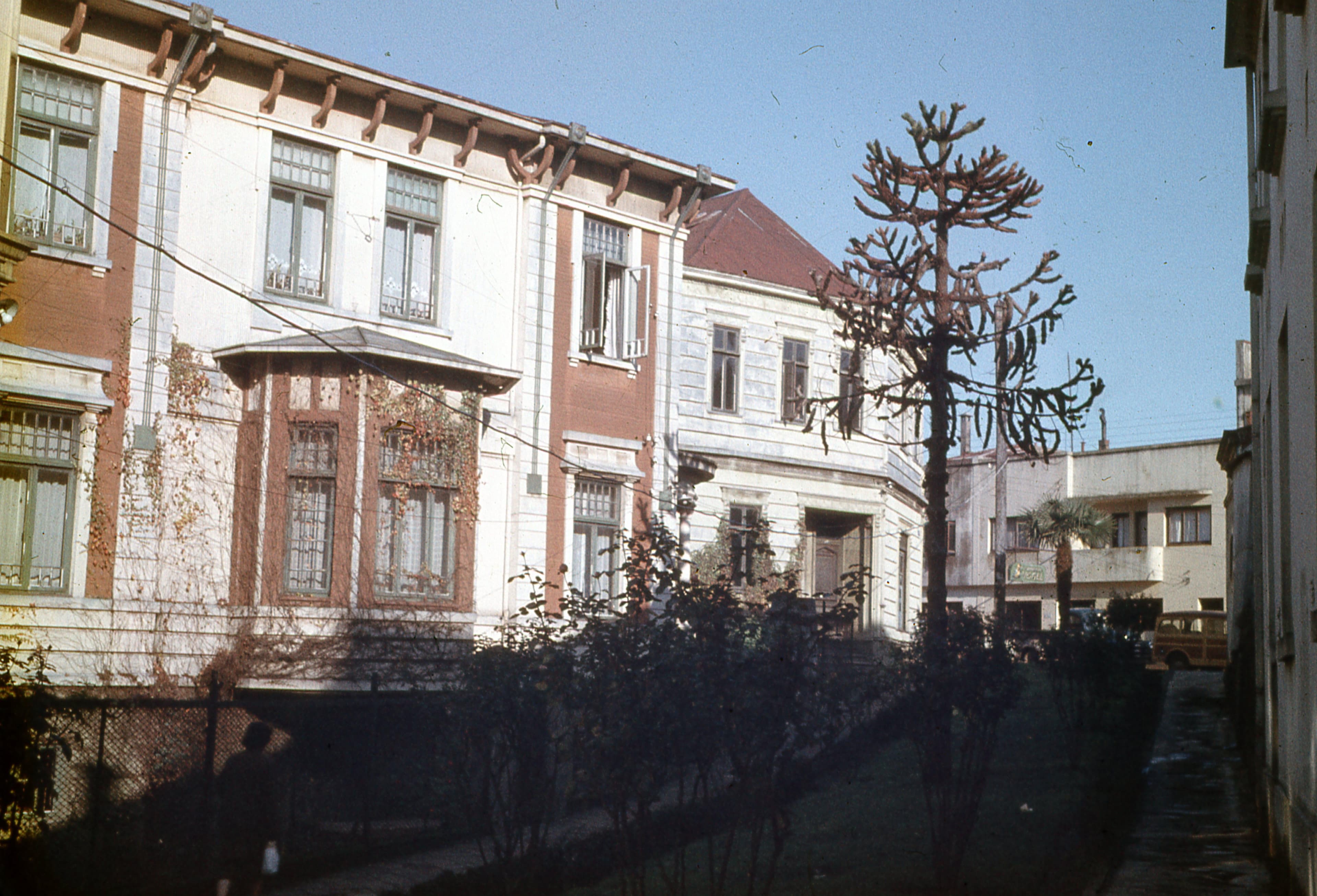 Casas en cercanías de Valdivia, 1960