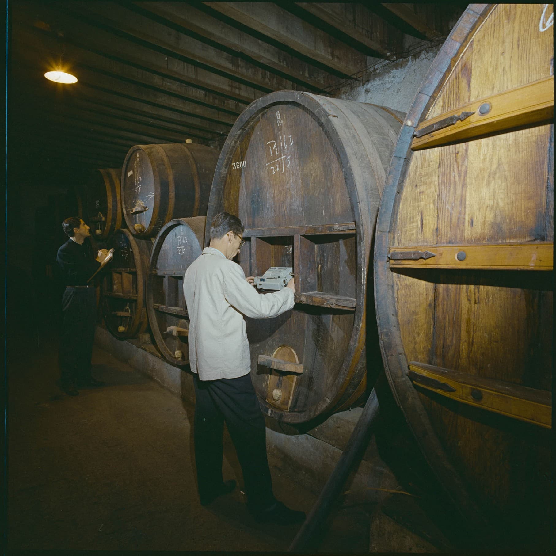 Viña Undurraga y calculadoras Facit, 1964