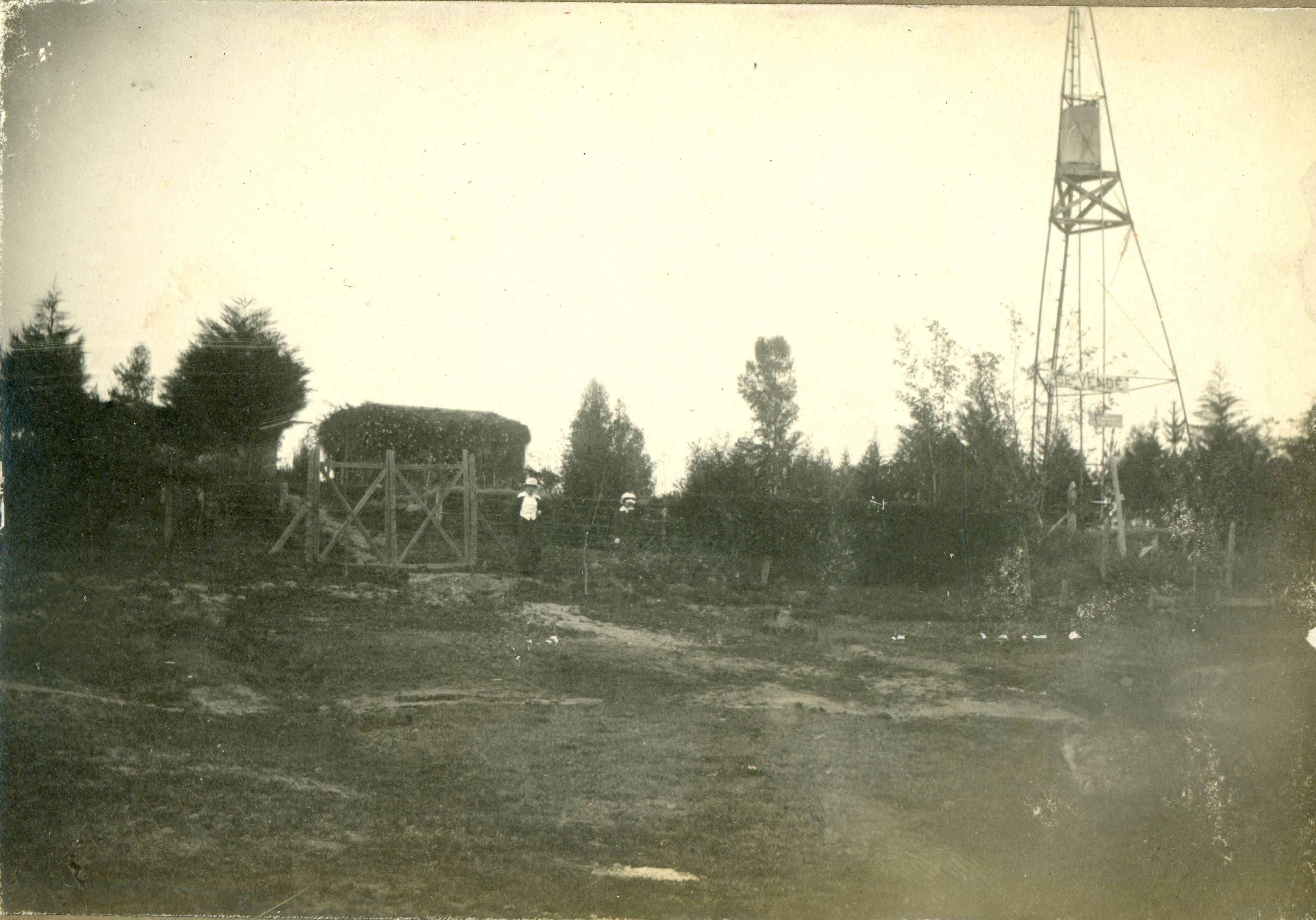 Paisaje en Quilpué, Septiembre, 1914