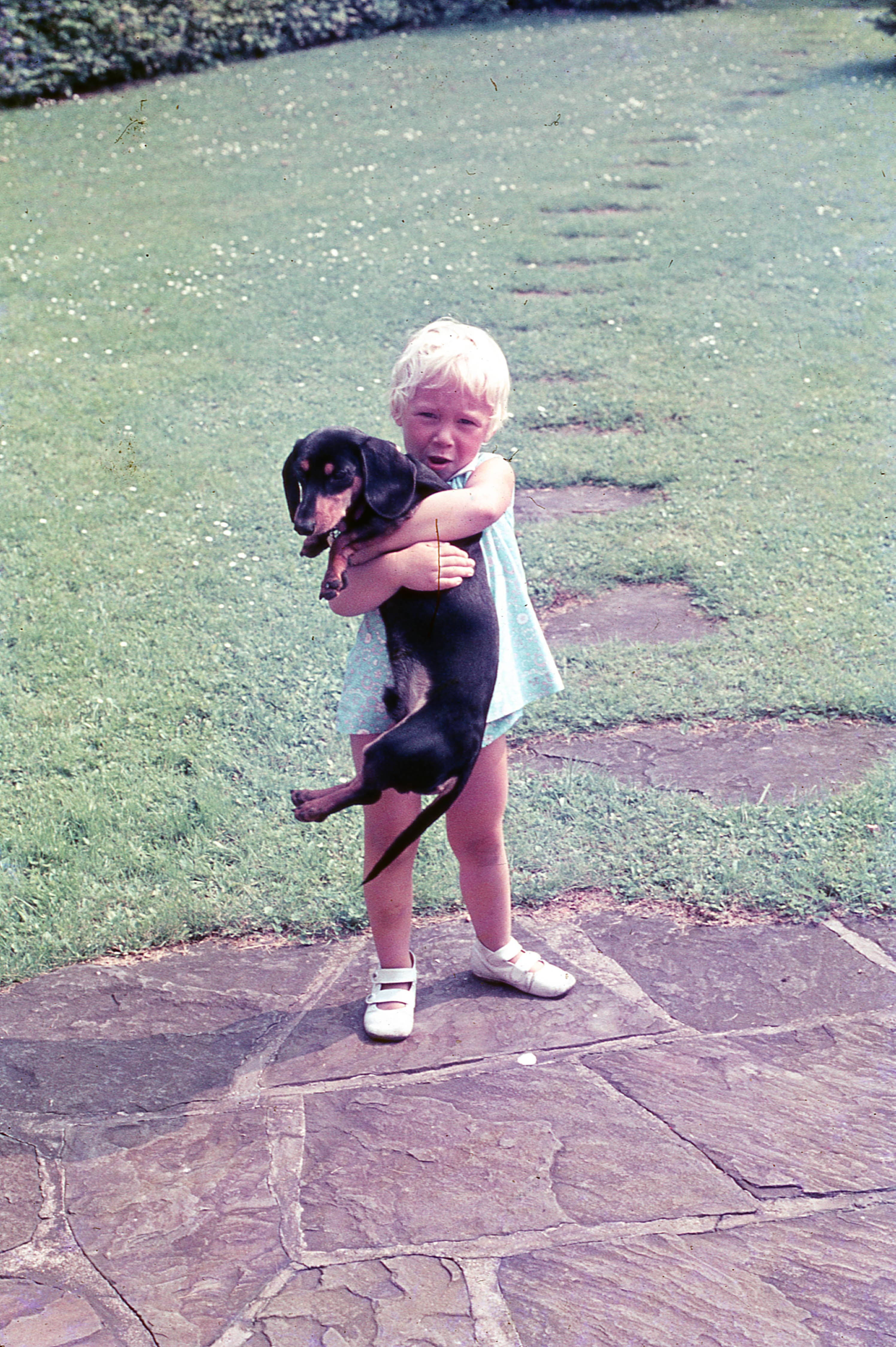 Niña sosteniendo a un perro salchicha en el jardín, 1975