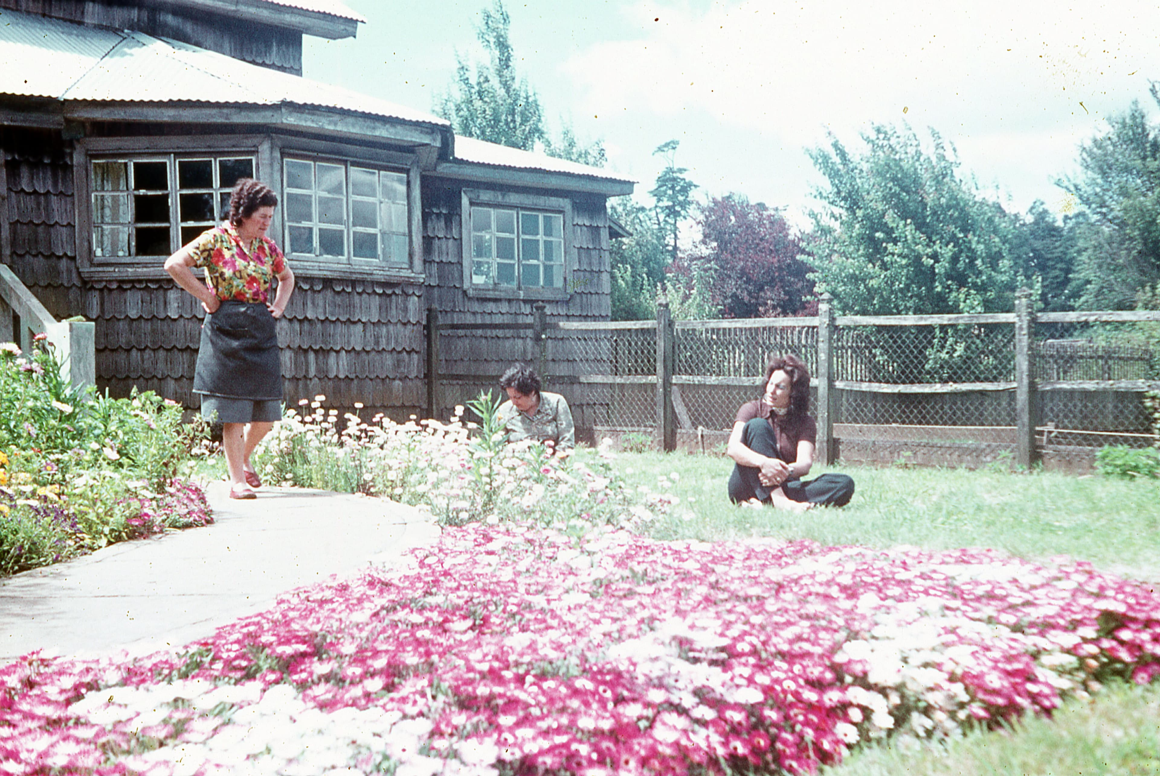 Jardín de una casa, ca. 1965