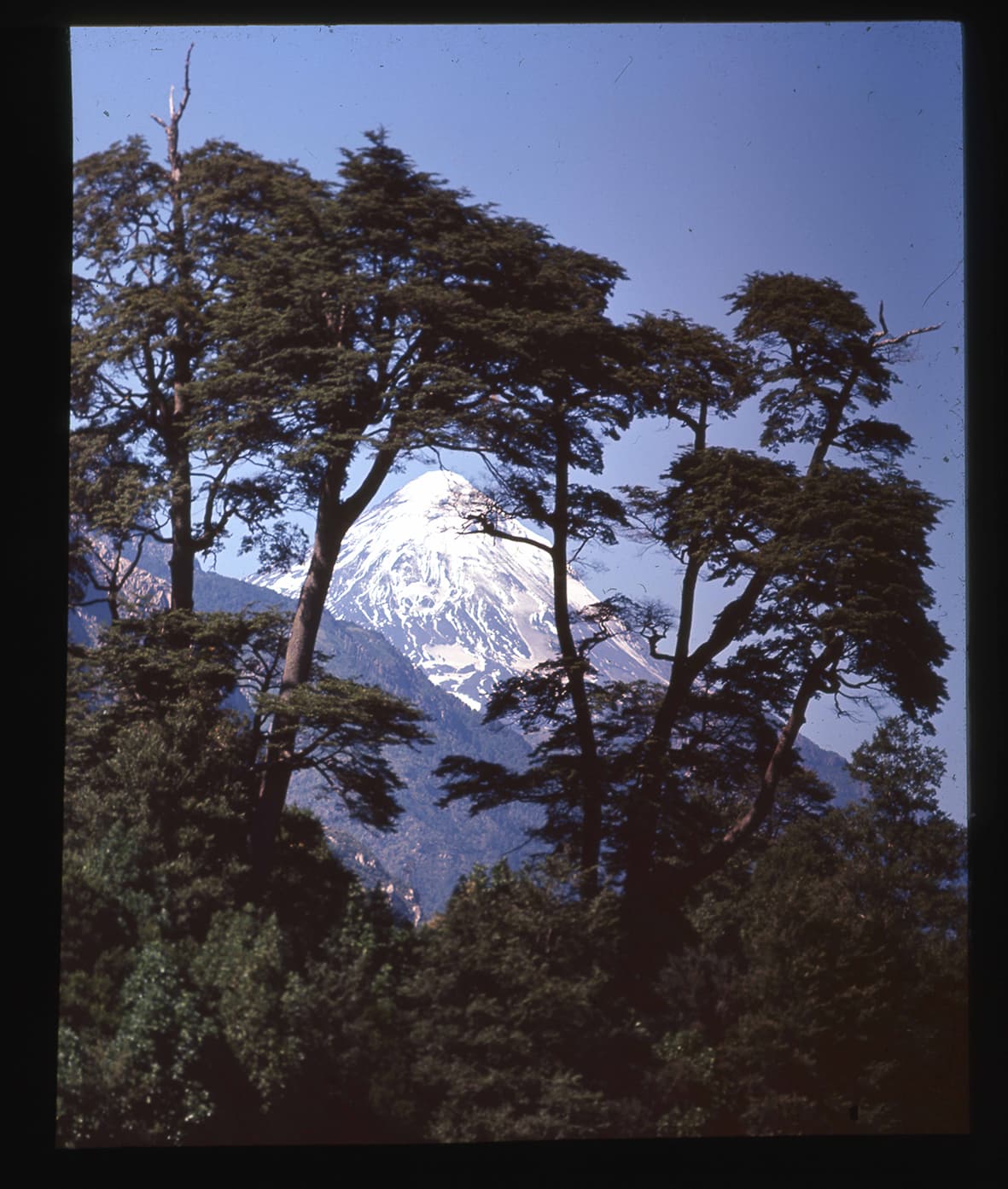 Volcán Lanín, Región de la Araucanía, Chile, 1950 - 1965