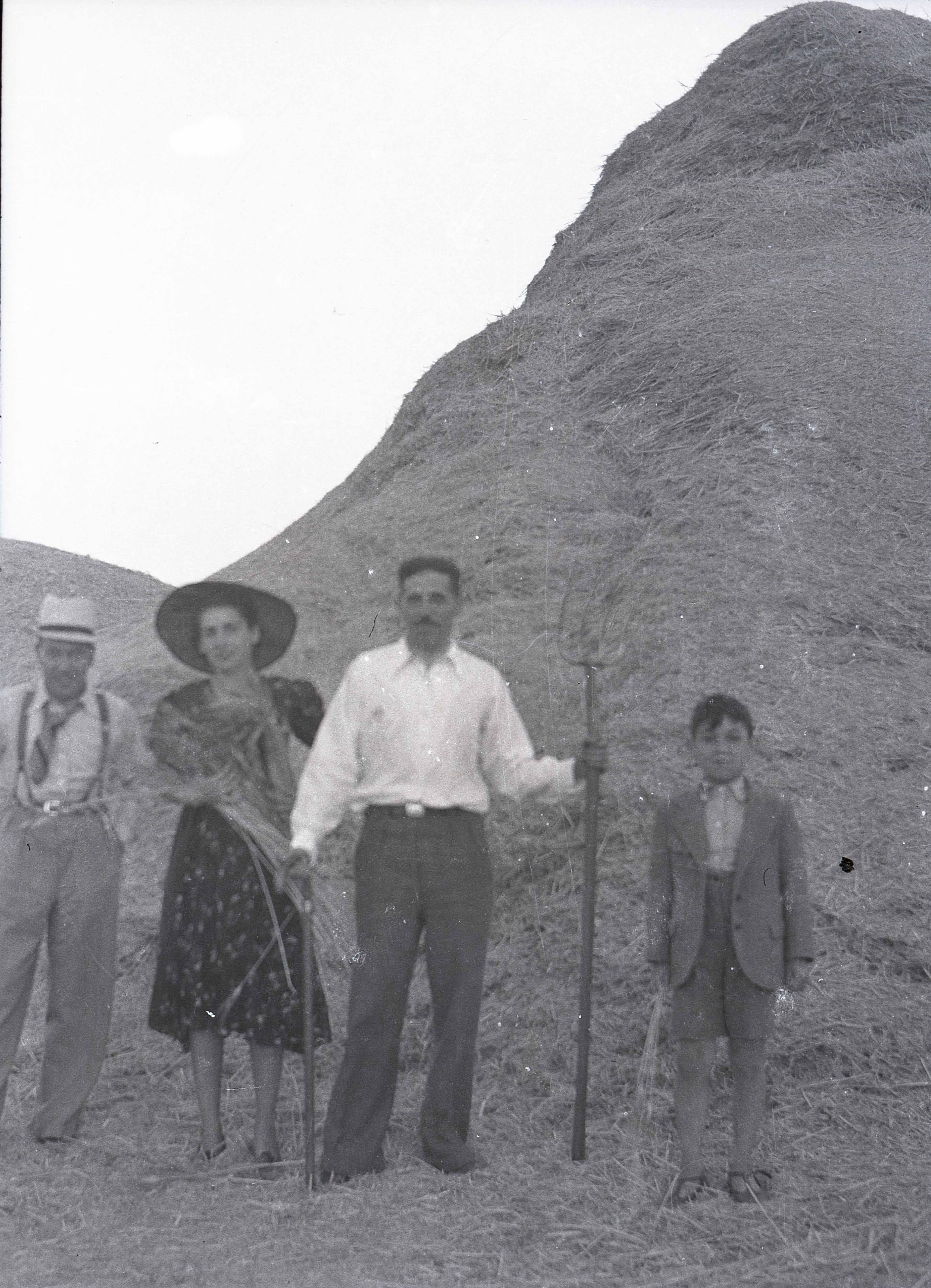 Trabajos en el campo, 1920
