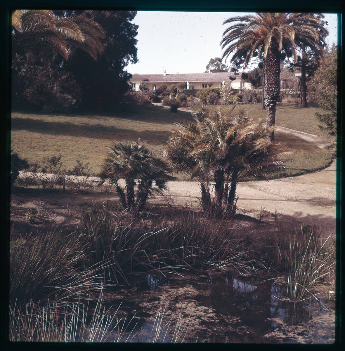 Fuente y jardines, Chile, 1950 - 1965