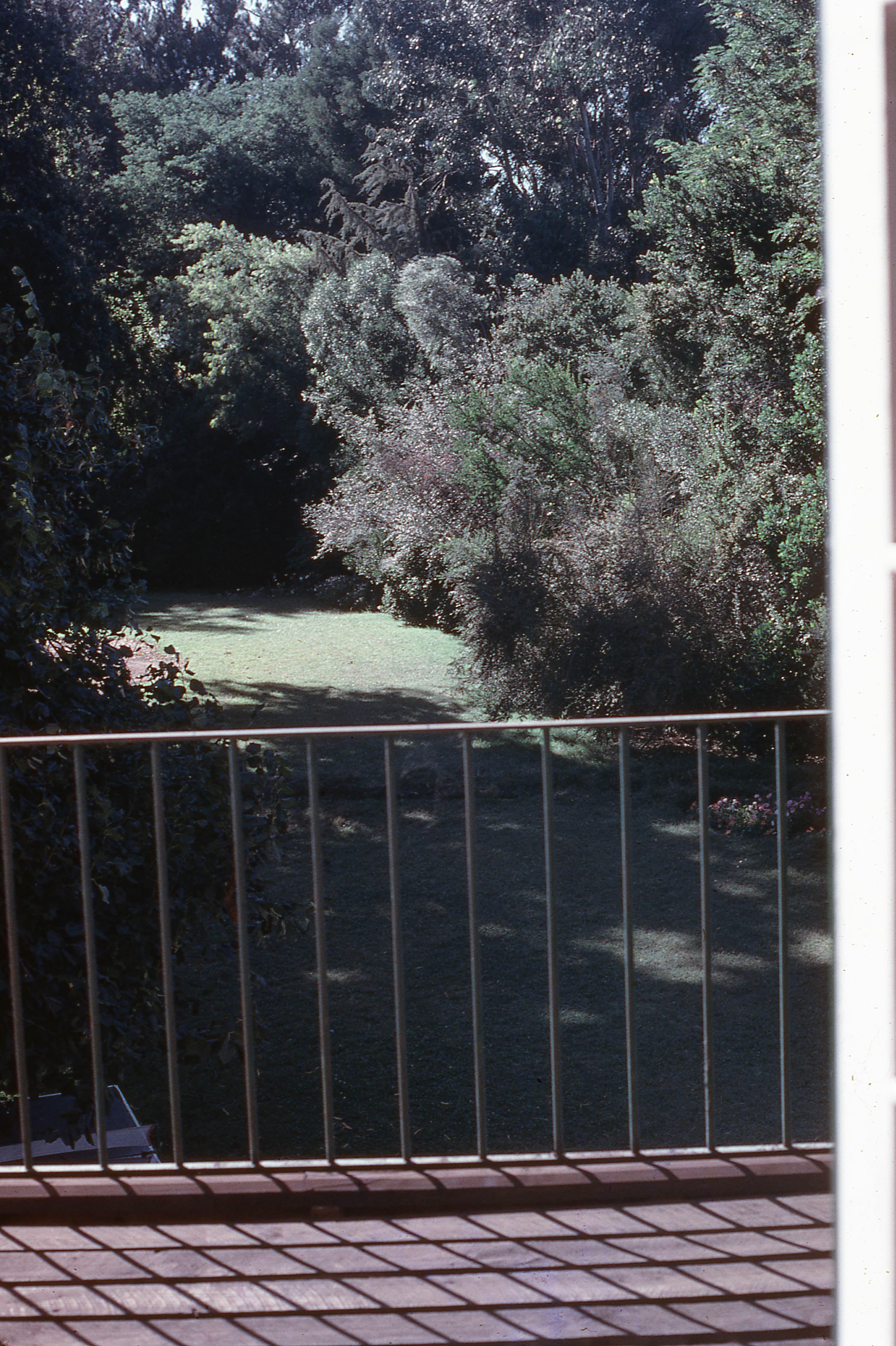 Vista del jardín de San Marcos desde la terraza, 1976