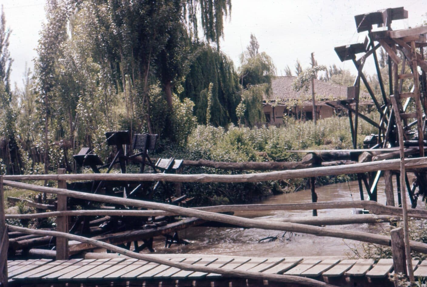 Molinos de agua en Peumo en 1960