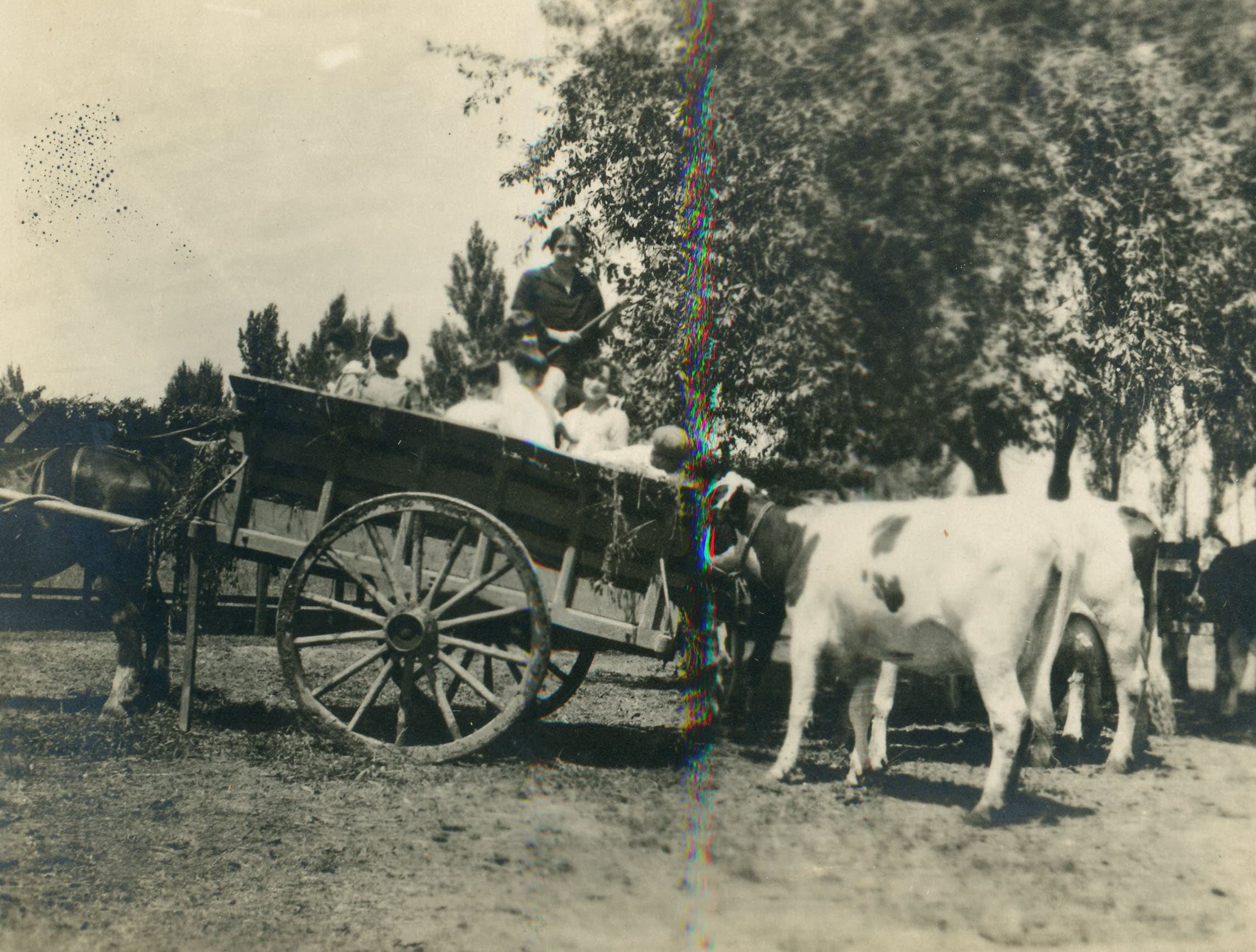 Familia sobre una carreta, ca. 1920