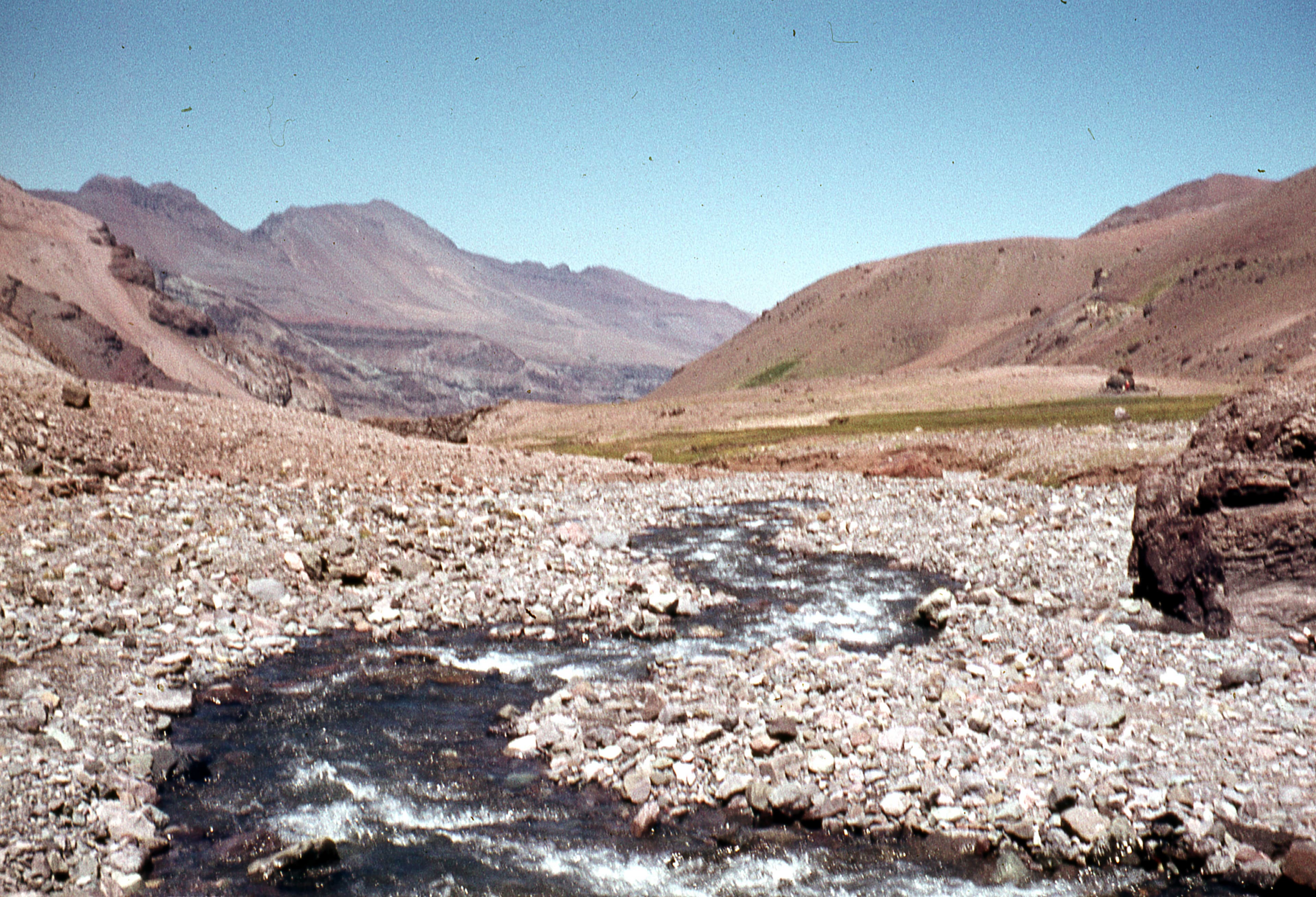 El Cepo, 1978