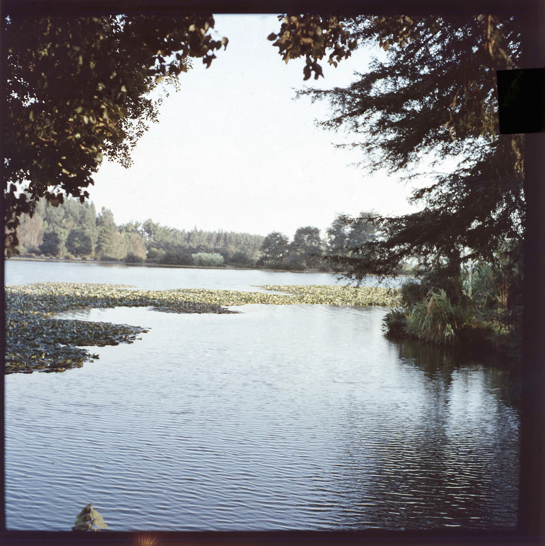 Humedal, Chile, 1950 - 1965