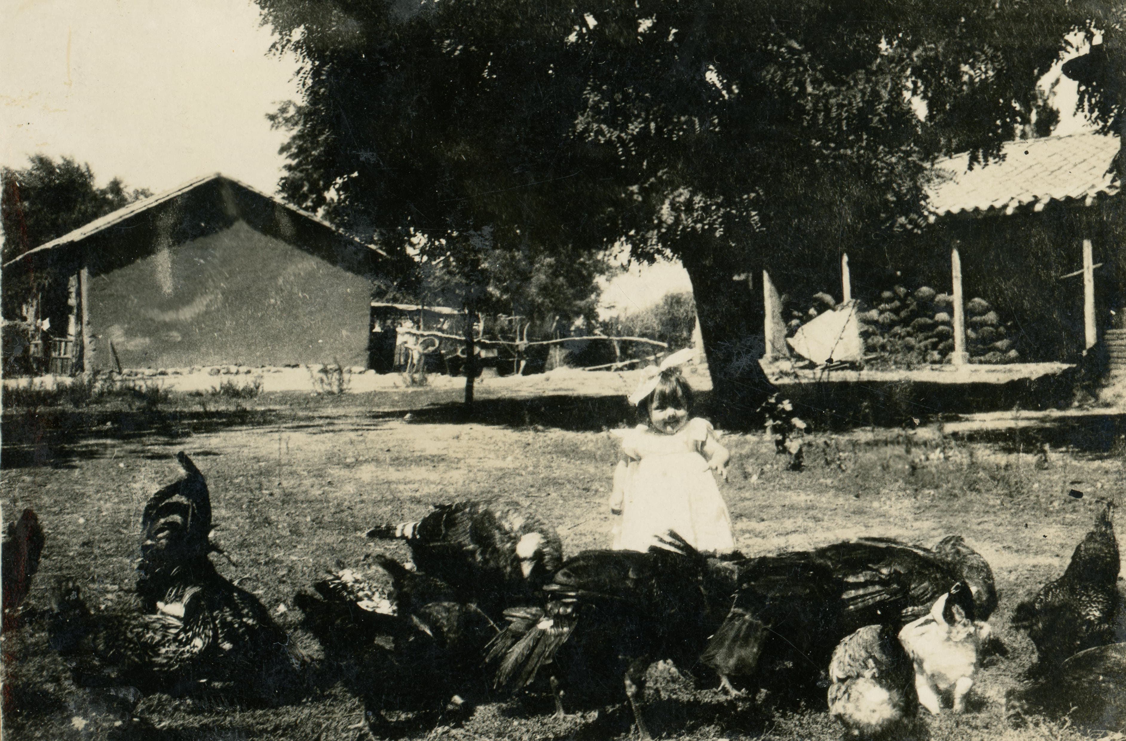 Niña y gallinas, ca. 1915