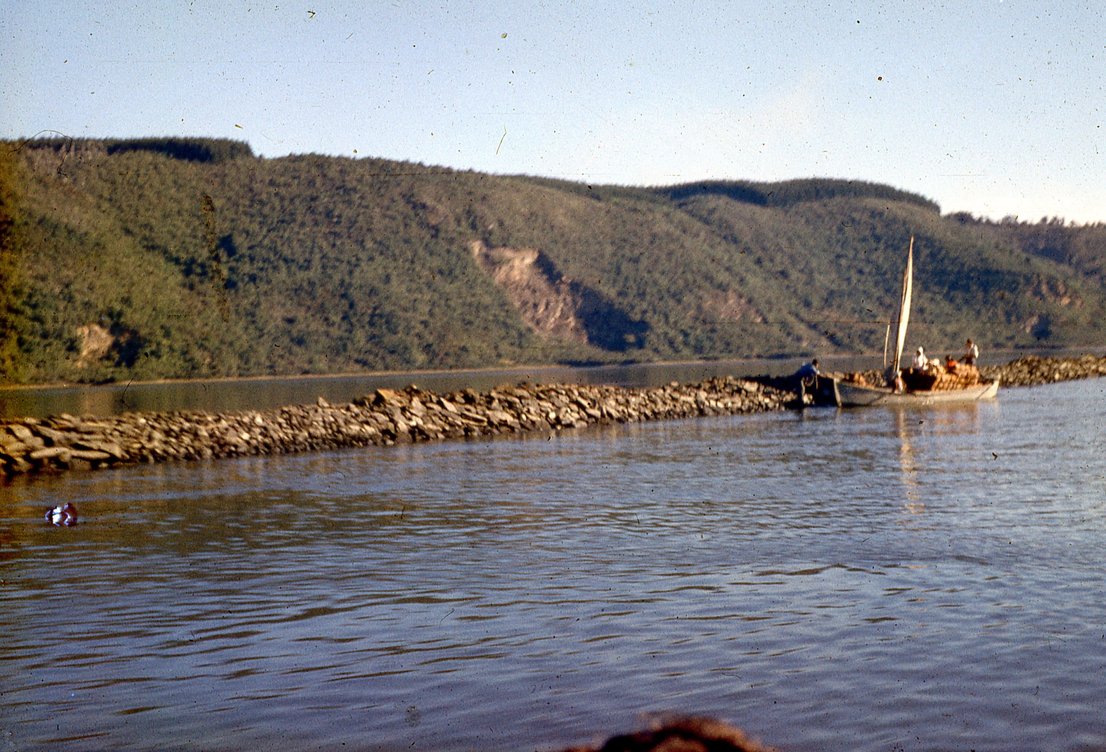 Cercanías de Valdivia, 1960
