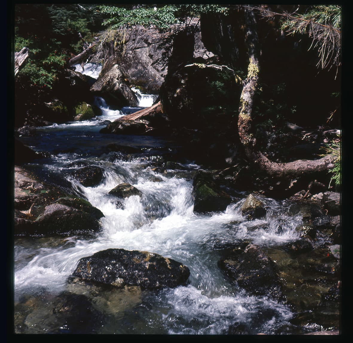 Río Petrohué, Villarrica, Región de Los Lagos, Chile, 1950 - 1965