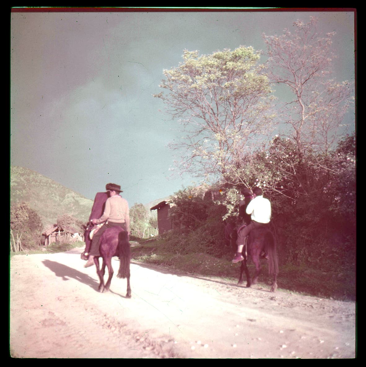 Cabalgata por un camino, Chile, 1950 - 1965