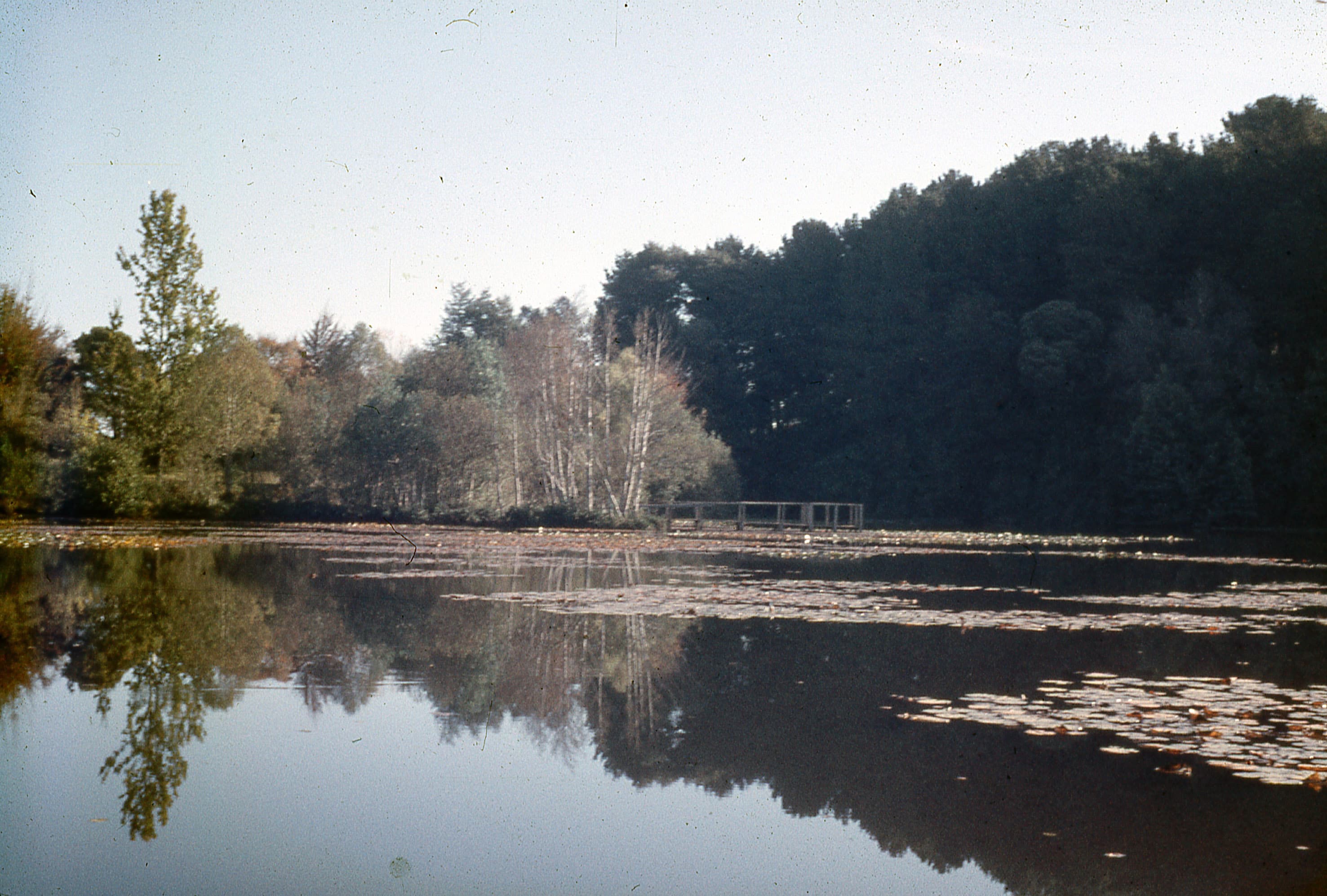 Cercanías de Valdivia, 1960