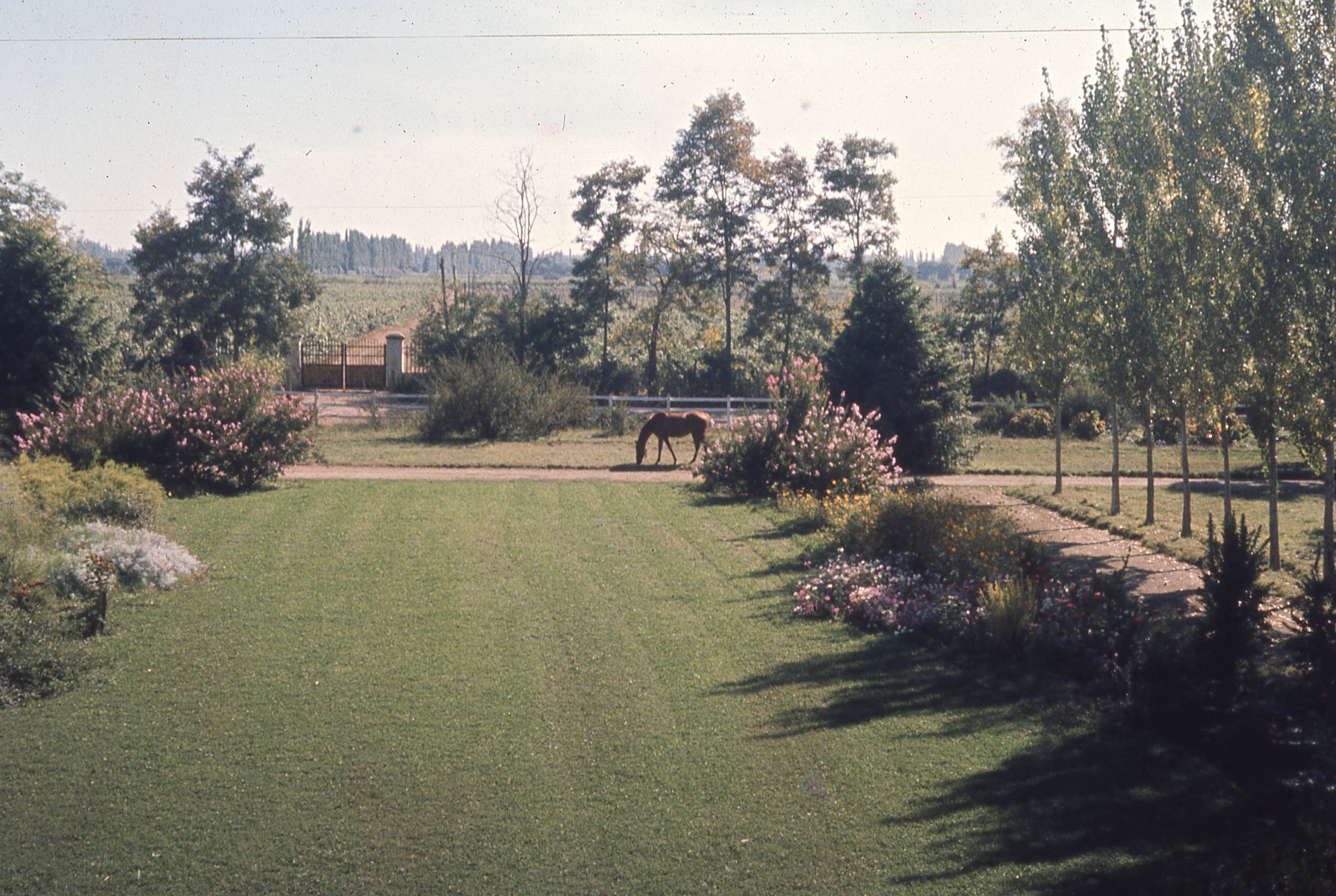 JArdín casona familiar en 1965