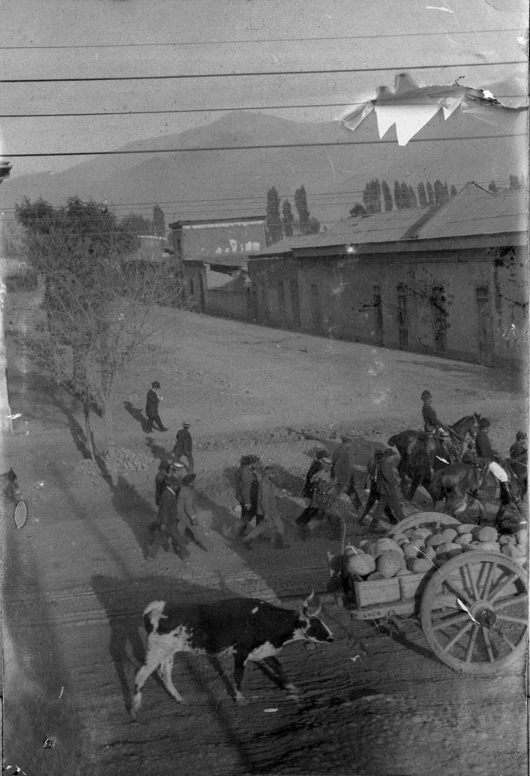 Carretas, personas y animales en una calle, ca. 1900