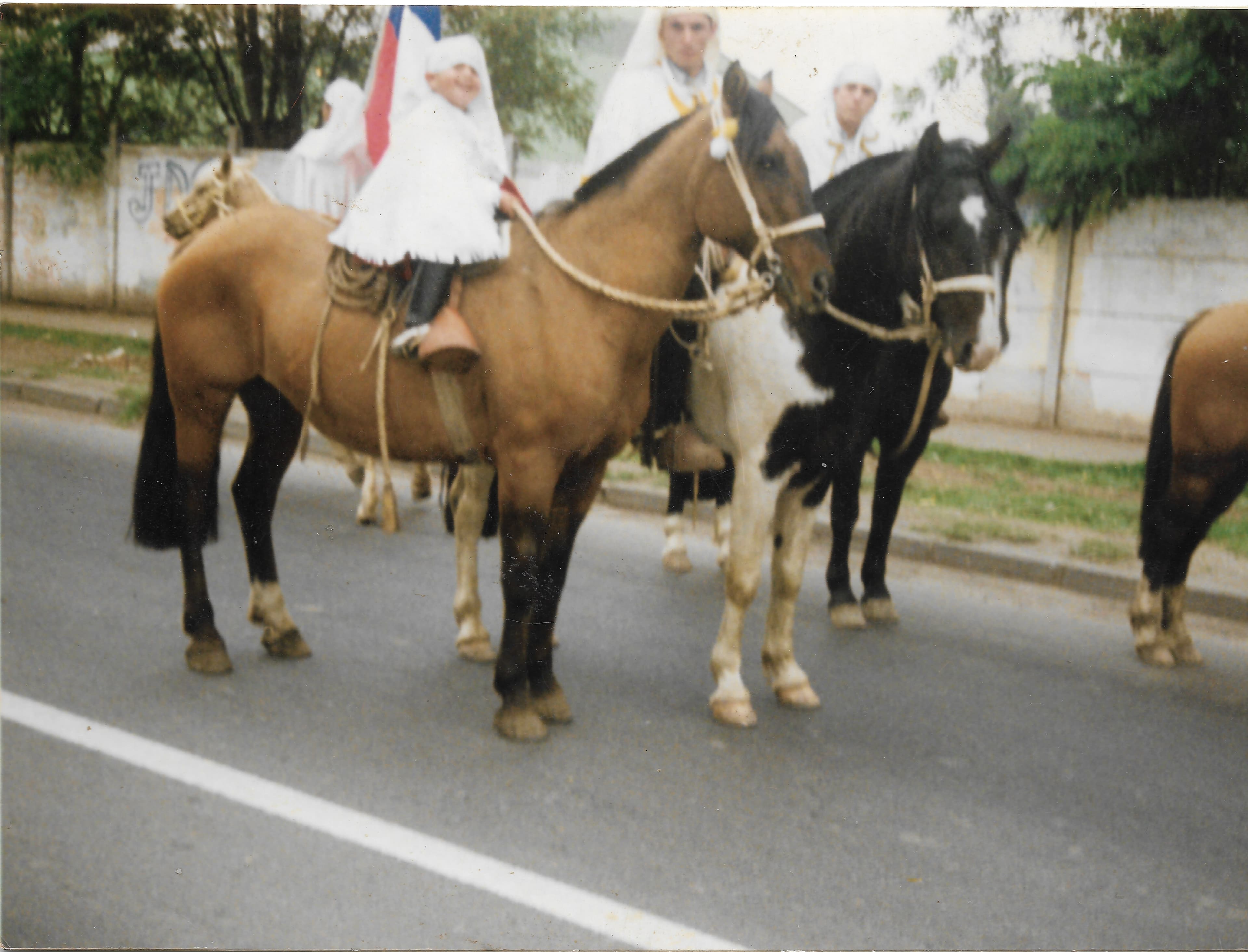 Cuasimodo en Quilicura