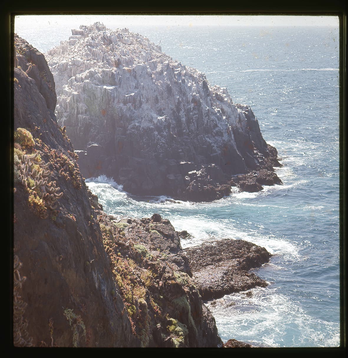 Roquerío de aves y Puquén, Los Molles, Petorca, Región de Valparaíso, Chile, 1950 - 1965