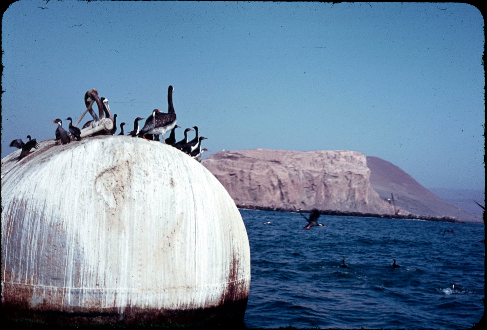 Morro de Arica desde el mar, ca. 1964
