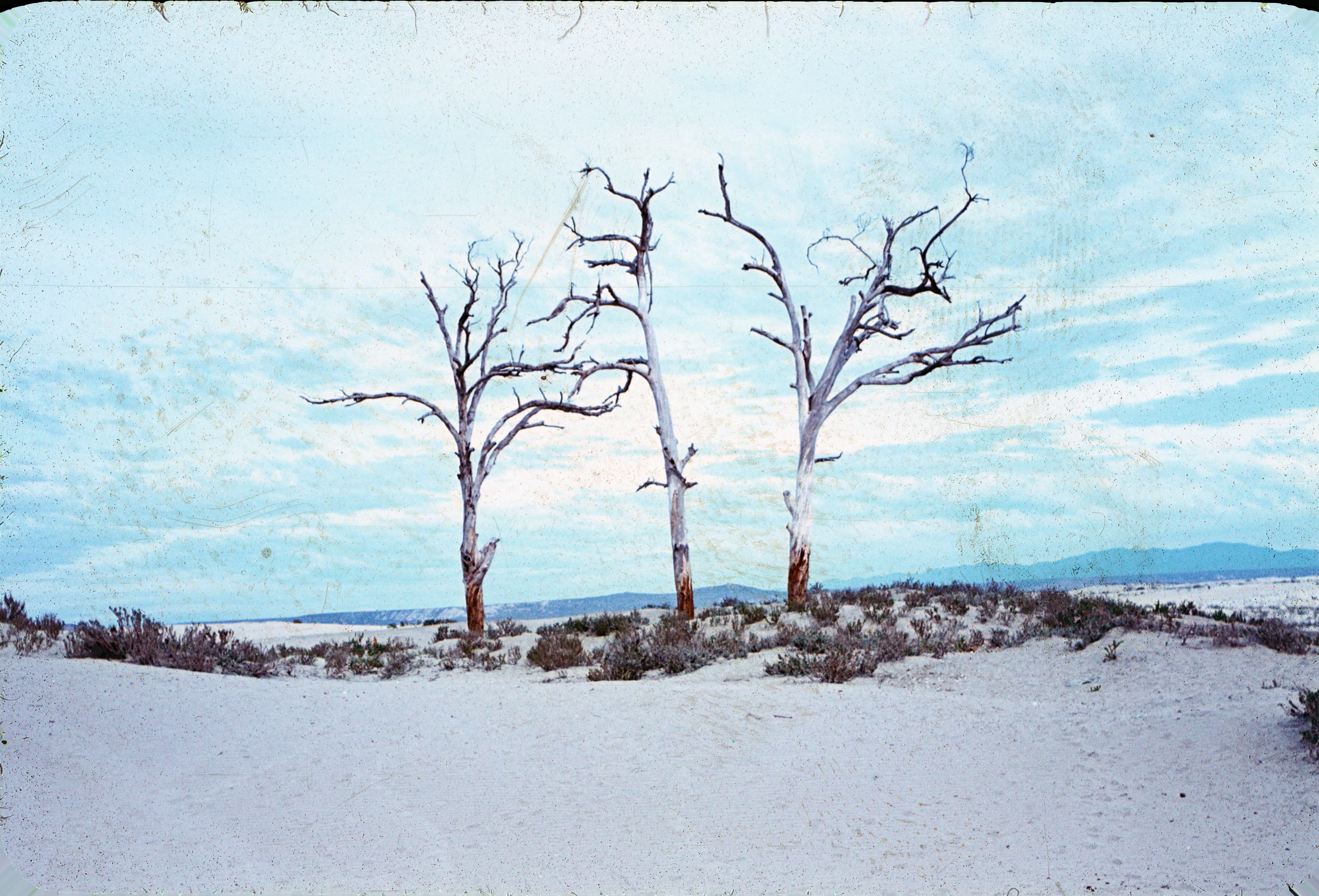 Playa de Tongoy, 1964