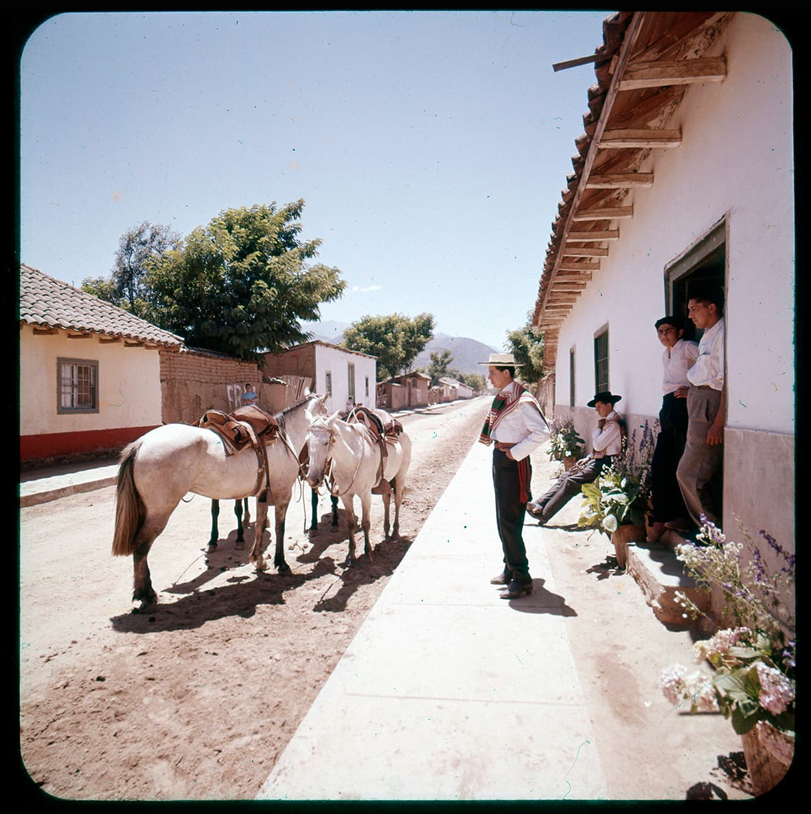 Jóvenes y caballos en una calle larga, Alhue, Región Metropolitana, Chile, 1950 - 1965
