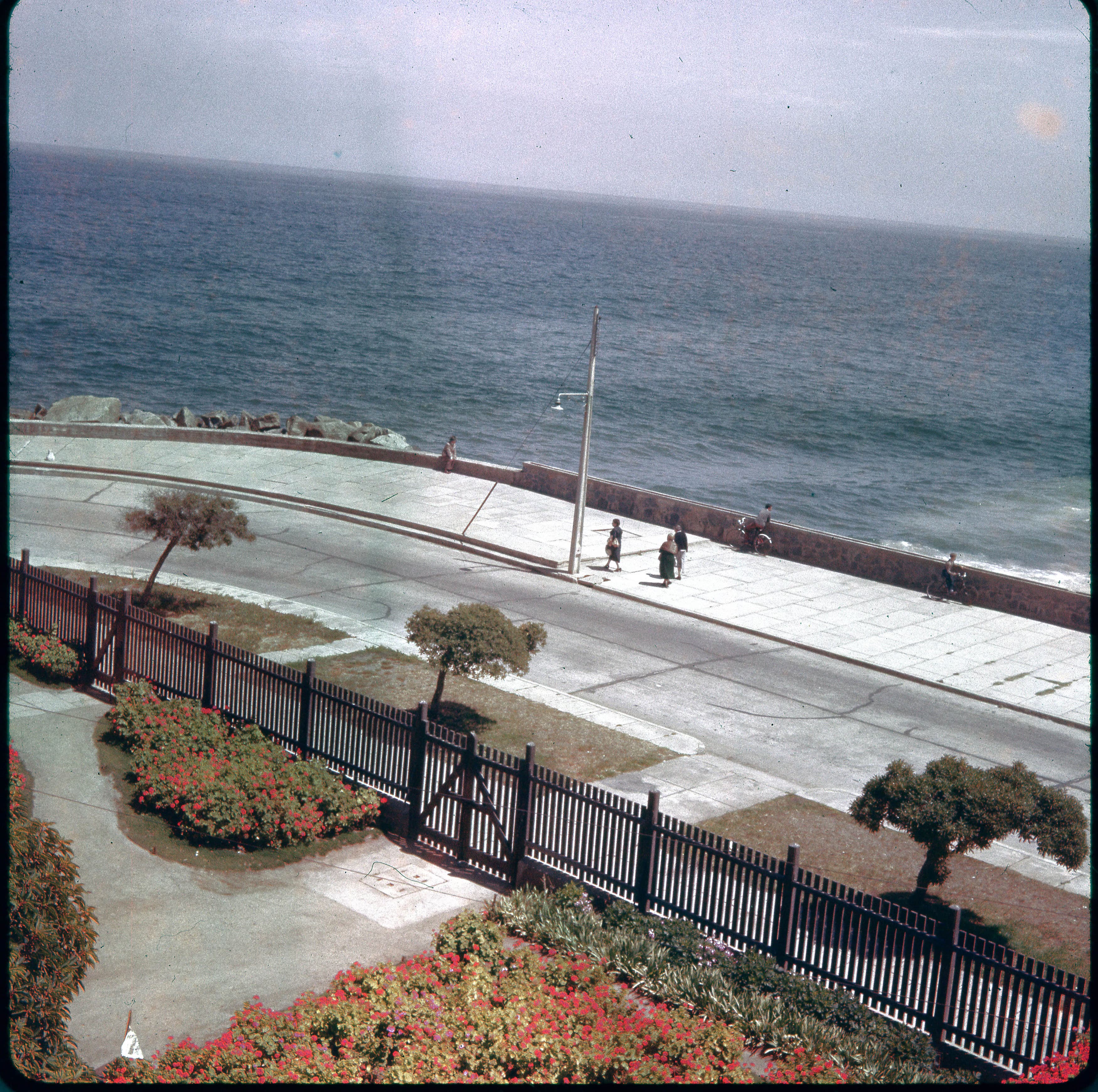 Avenida Perú de Viña del Mar, 1960