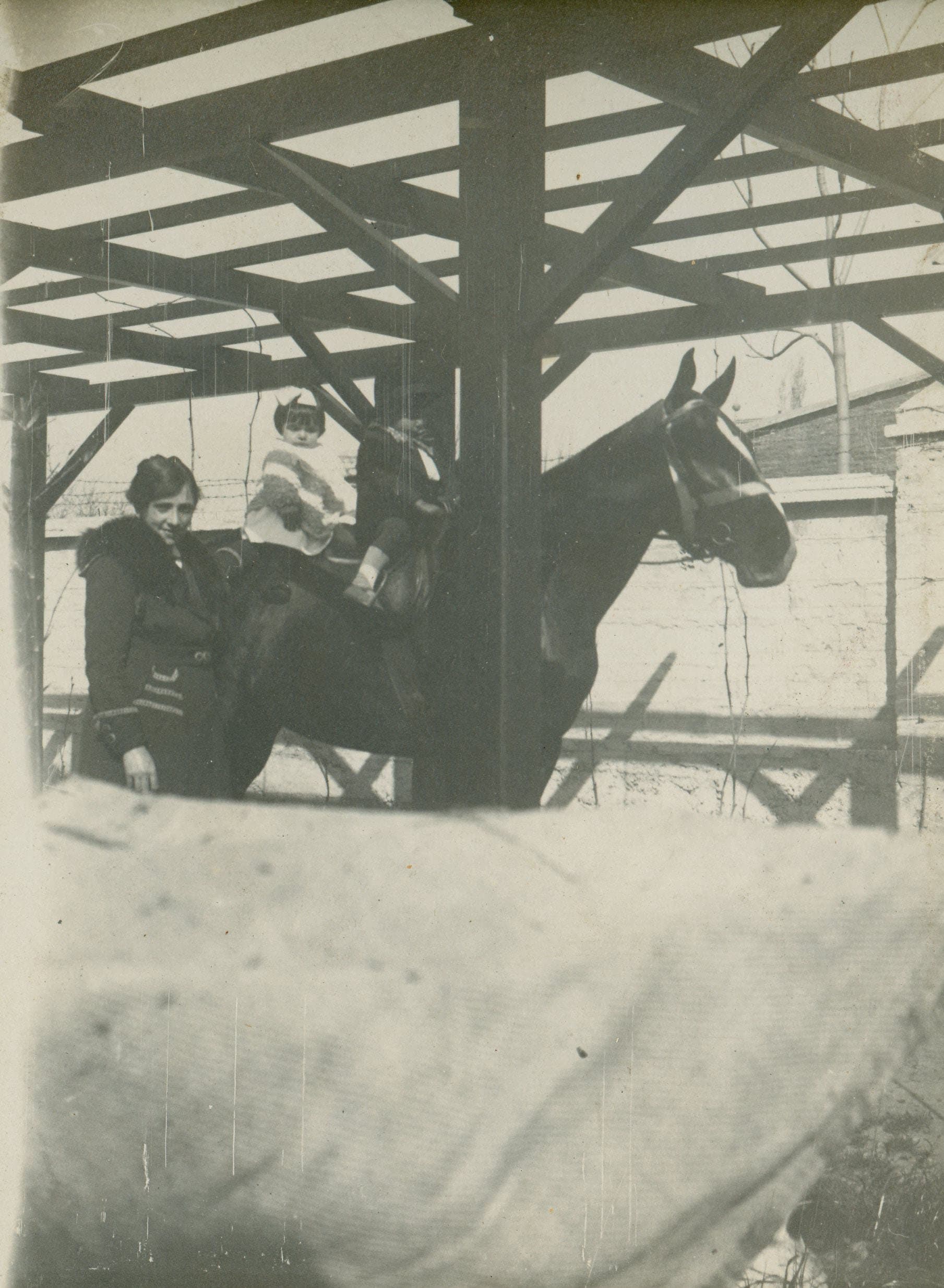 Caballo en Providencia, casa Miguel Claro 584, 1919